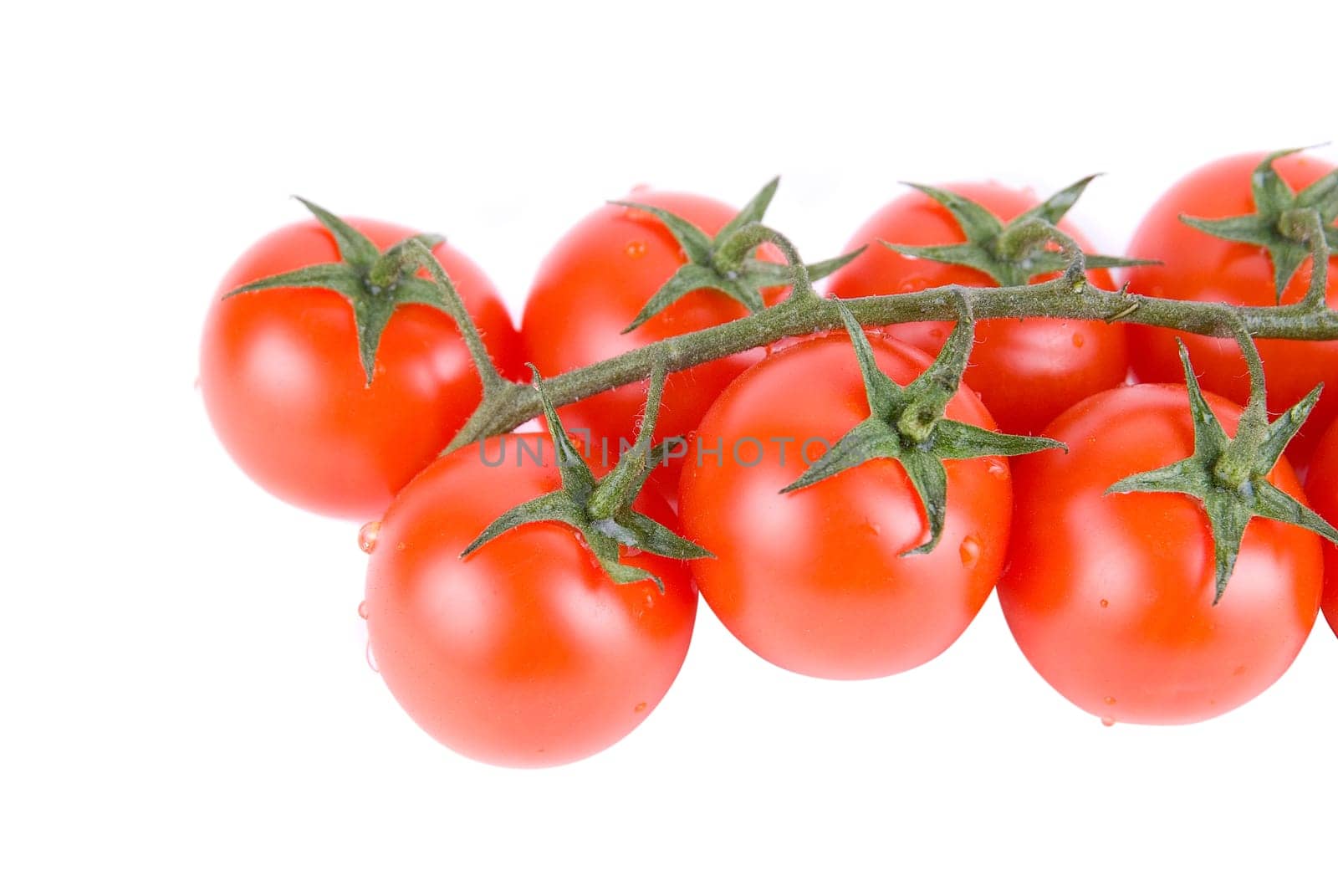 Ripe red tomatoes on the green branch.