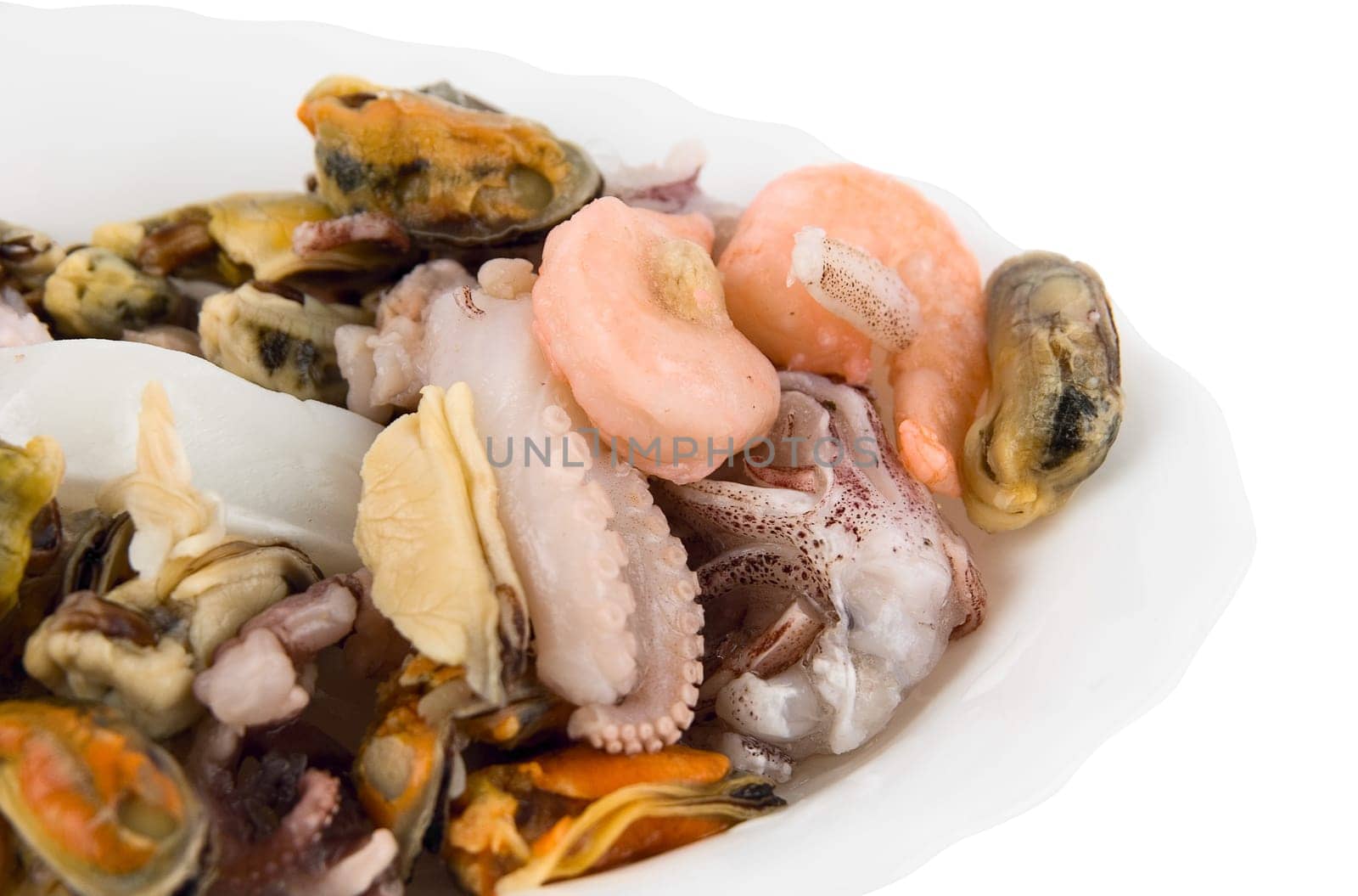 Close up of Sea cocktail from different seafood on plate