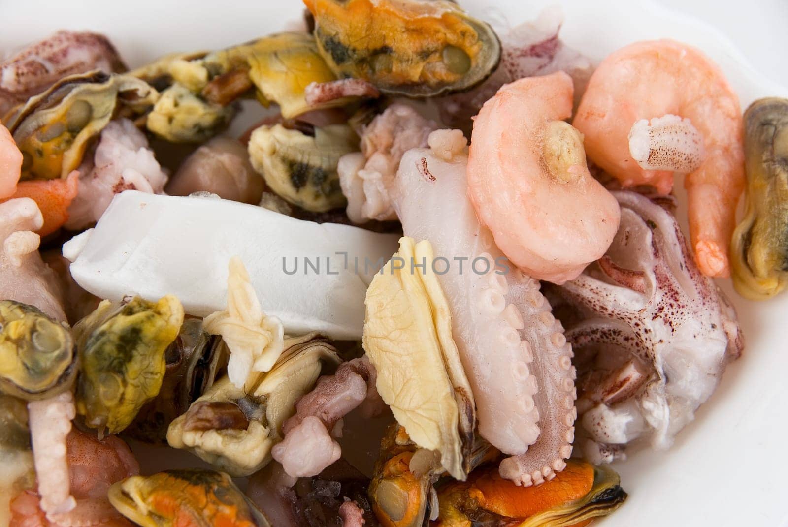 Seafood close-up background. Exotic food.