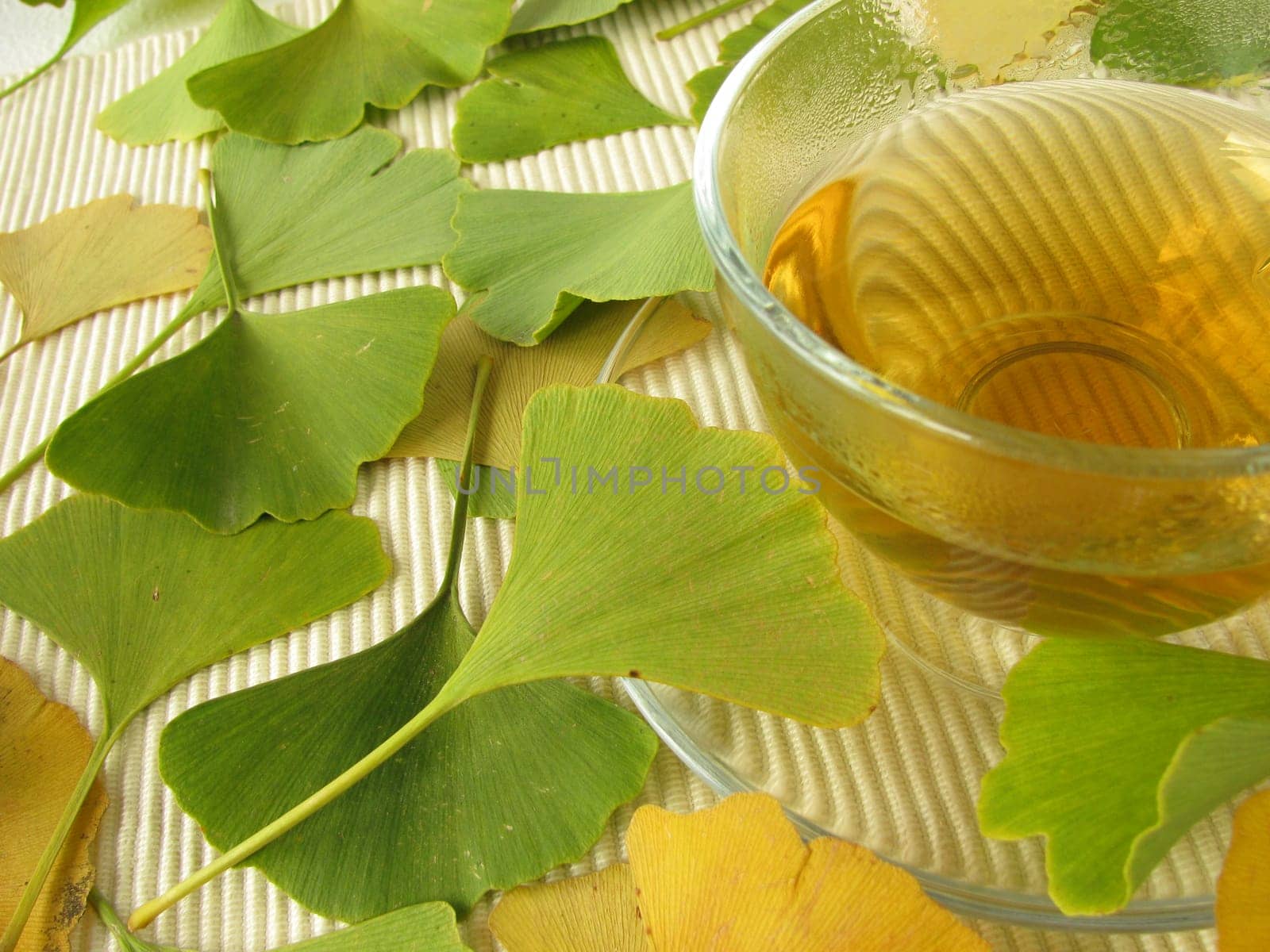Ginkgo Tea