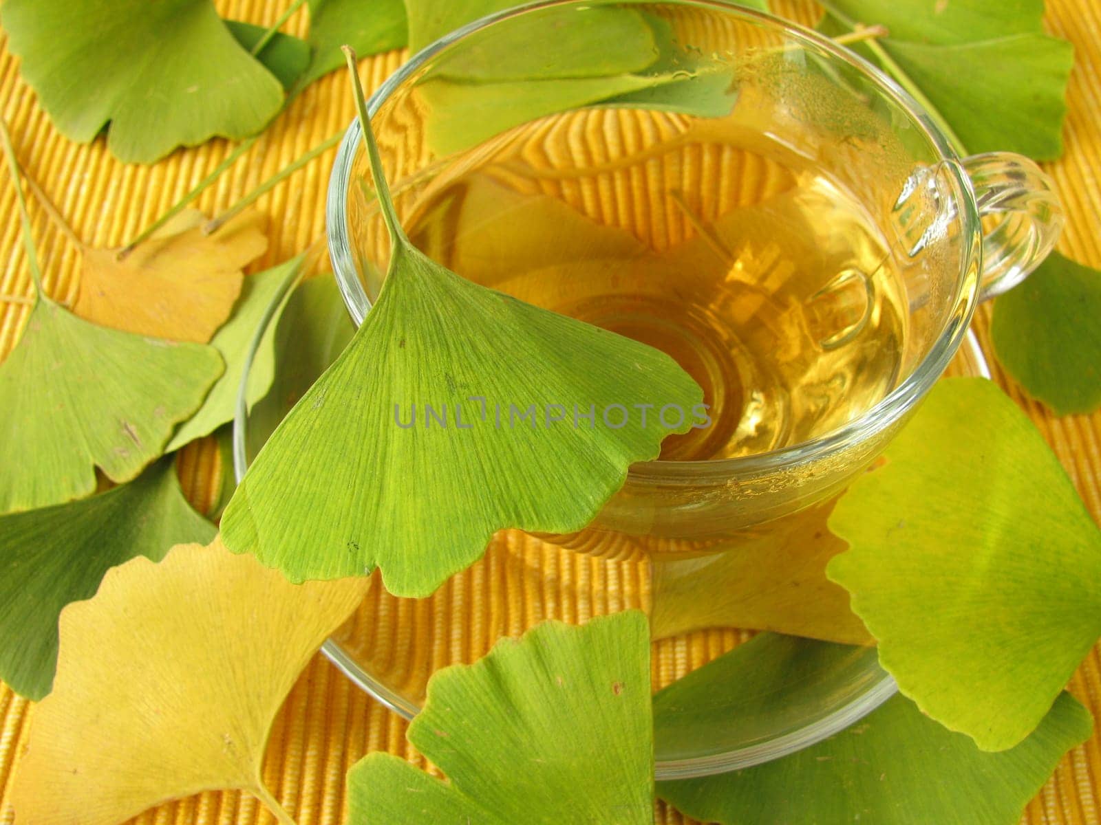 Ginkgo Tea