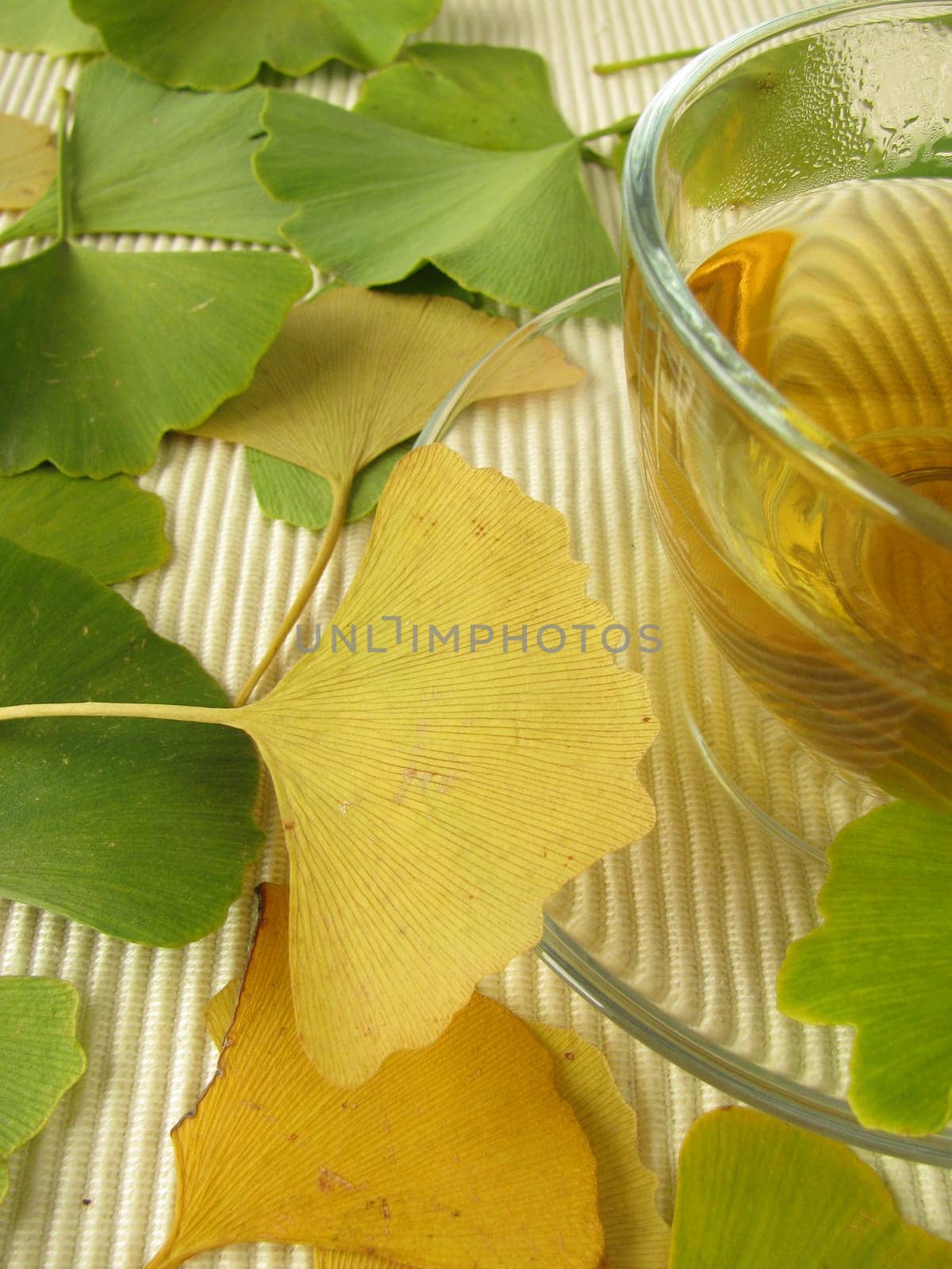 Ginkgo Tea