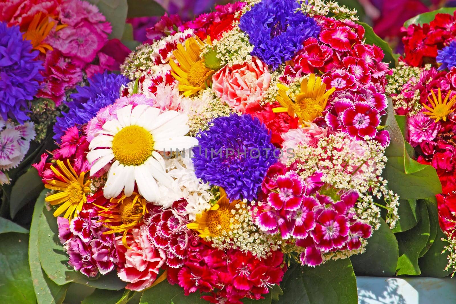 Bouquet of colorful seasonal flowers