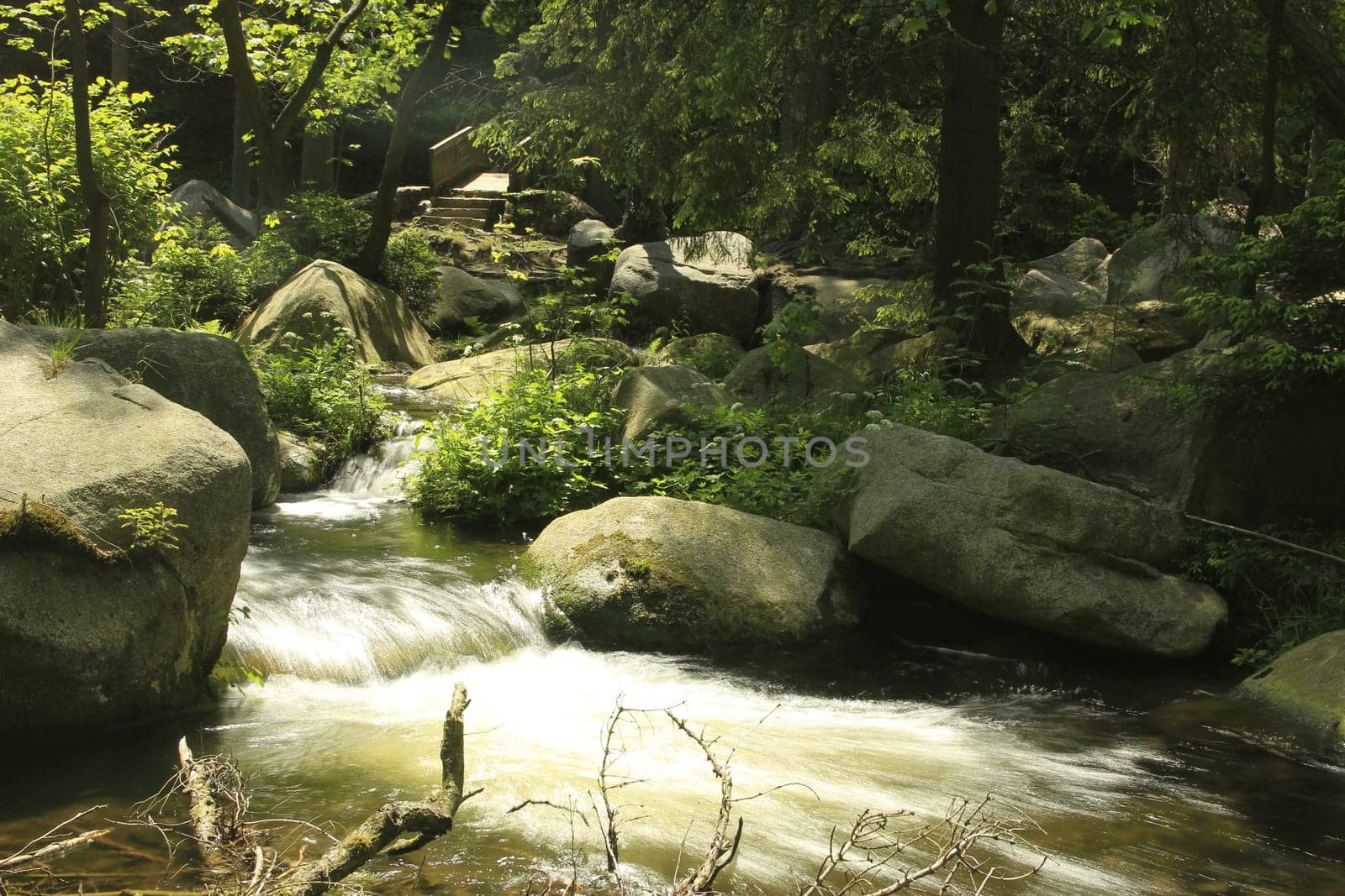 Okertal,Harz,Lower Saxony,Germany