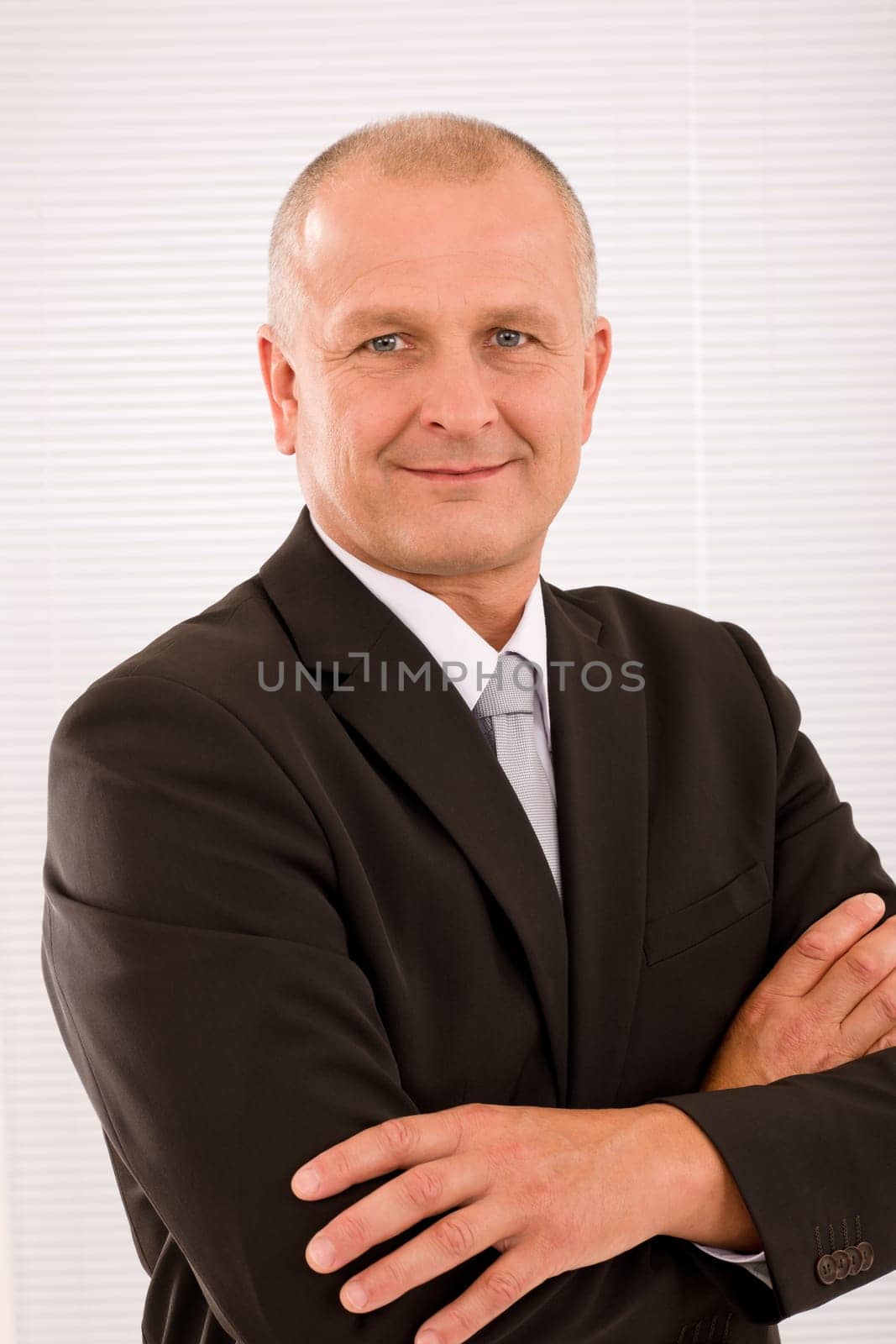 Executive successful mature businessman wear suit and tie professional portrait