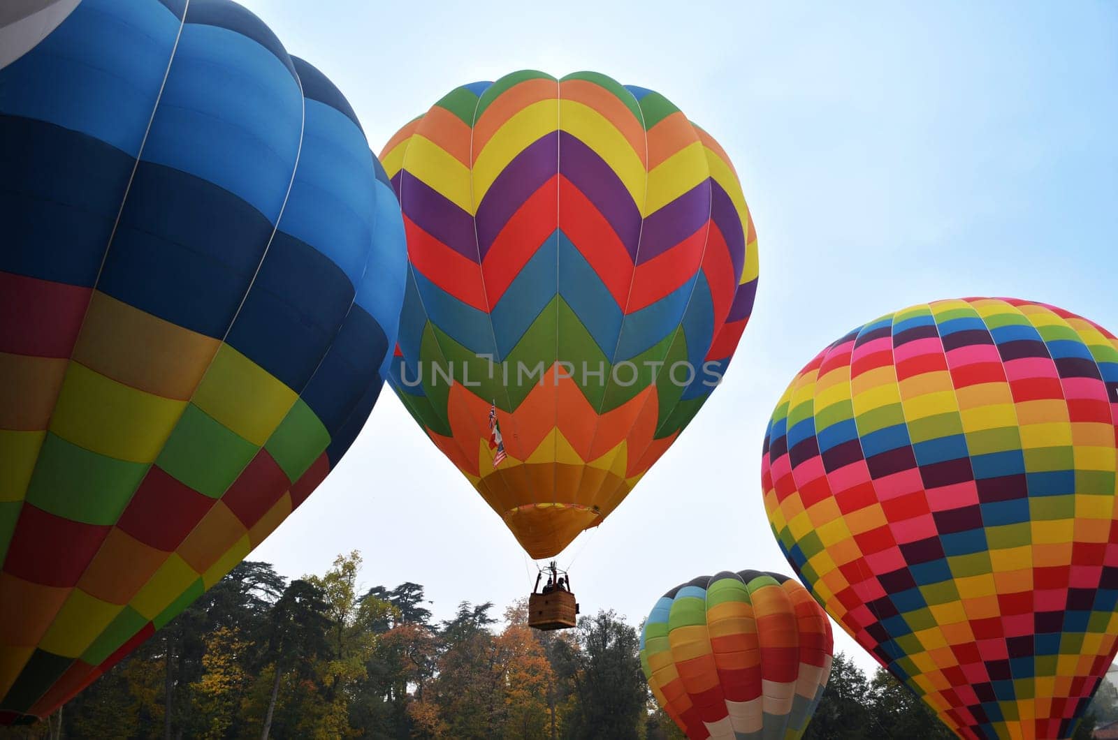One hot air ballon taking flight over 3 other hot air balloons on the ground in a sunny day
