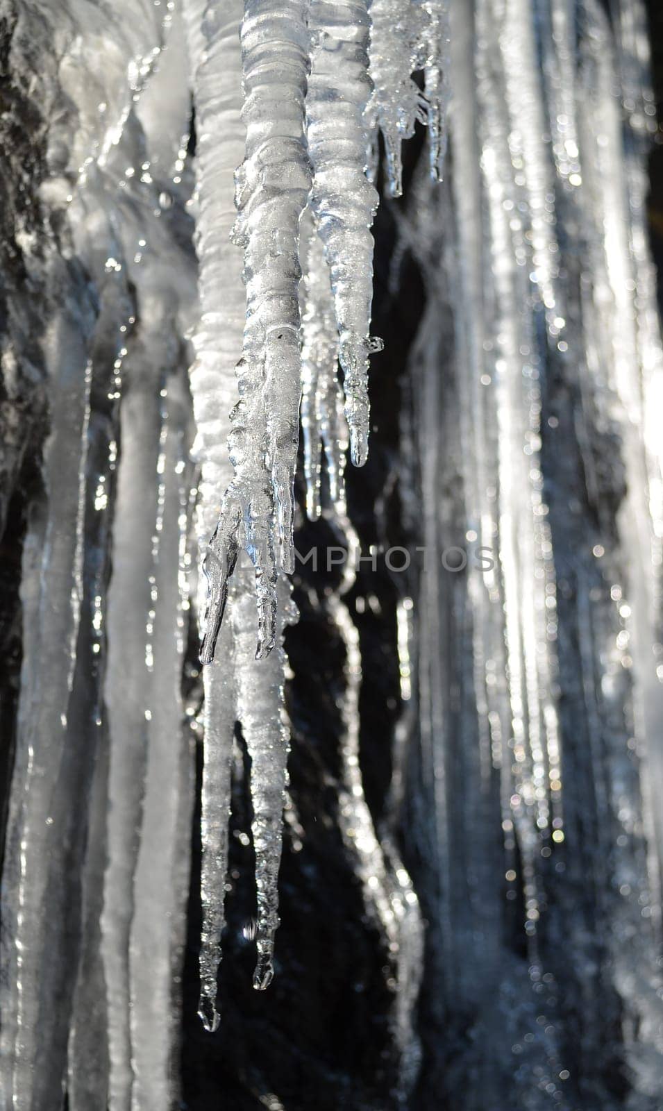 Icicles in the sun dripping water drops