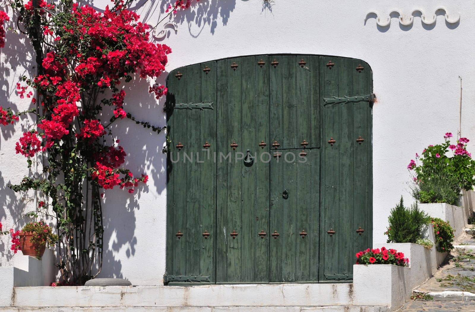 Green closed door with flowers in Cadaques (Catalonia, Spain).