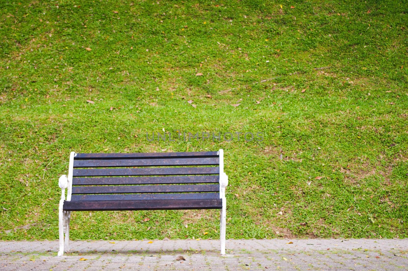 a single bench in a park, waiting for someone.