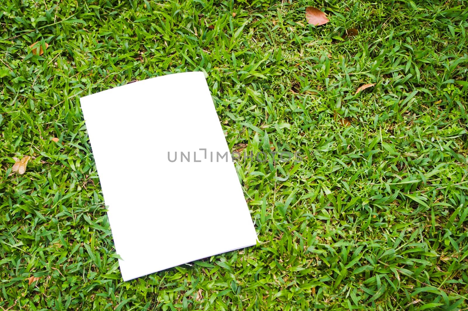 blank white flyer