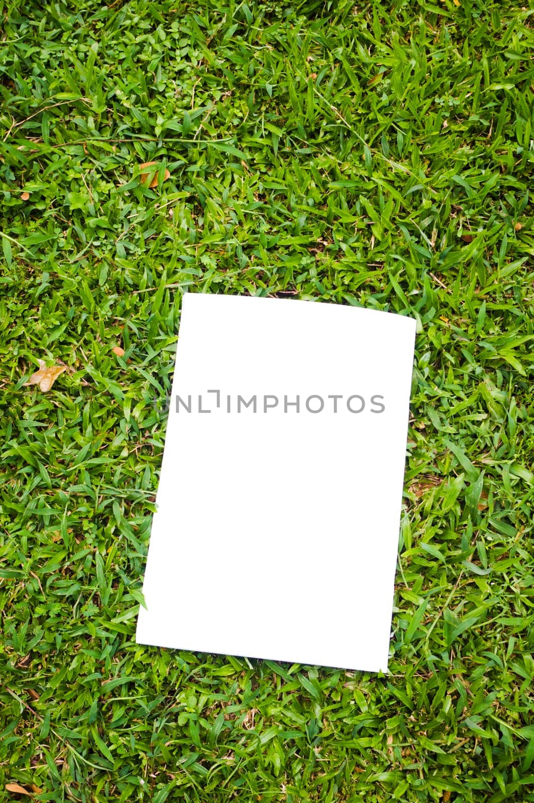 blank white flyer