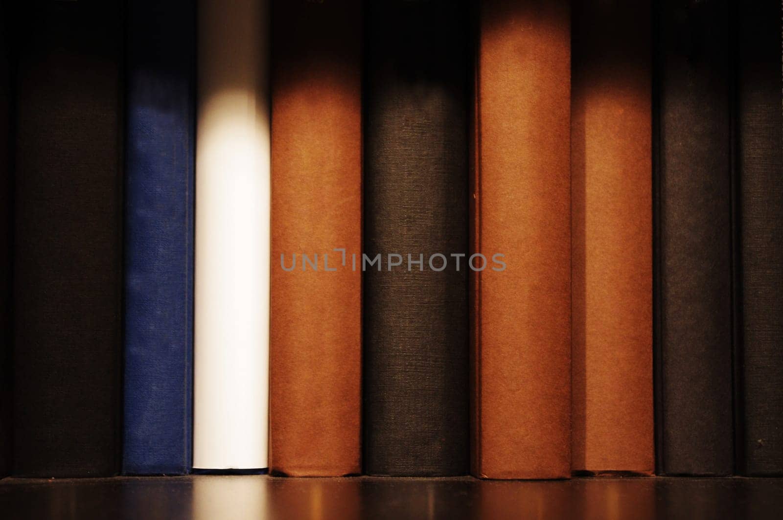 a close up shot of book on shelf, indoor setting.