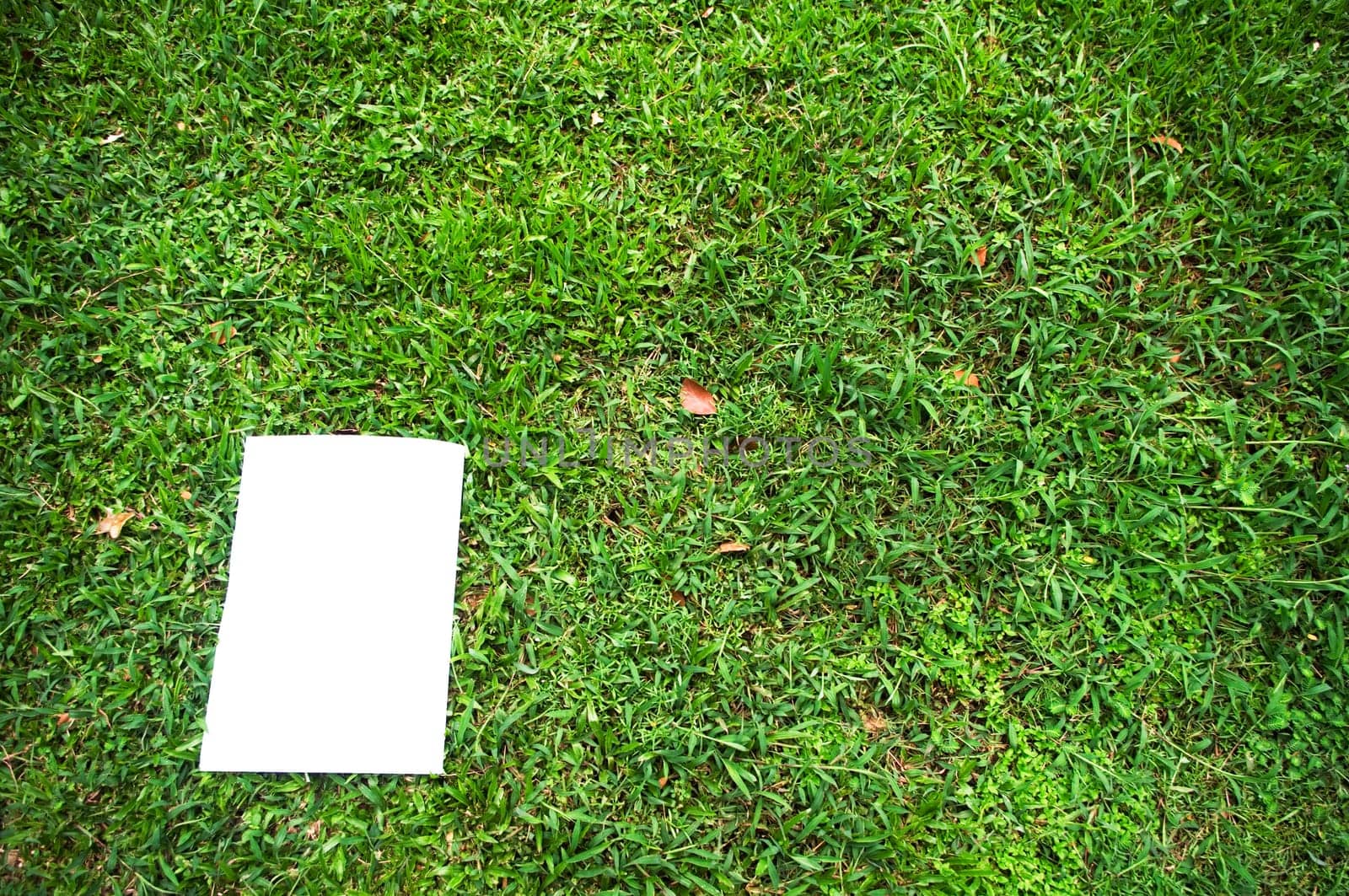 a white board is on a grass field, for message display. clipping path of the white board is in jpg.