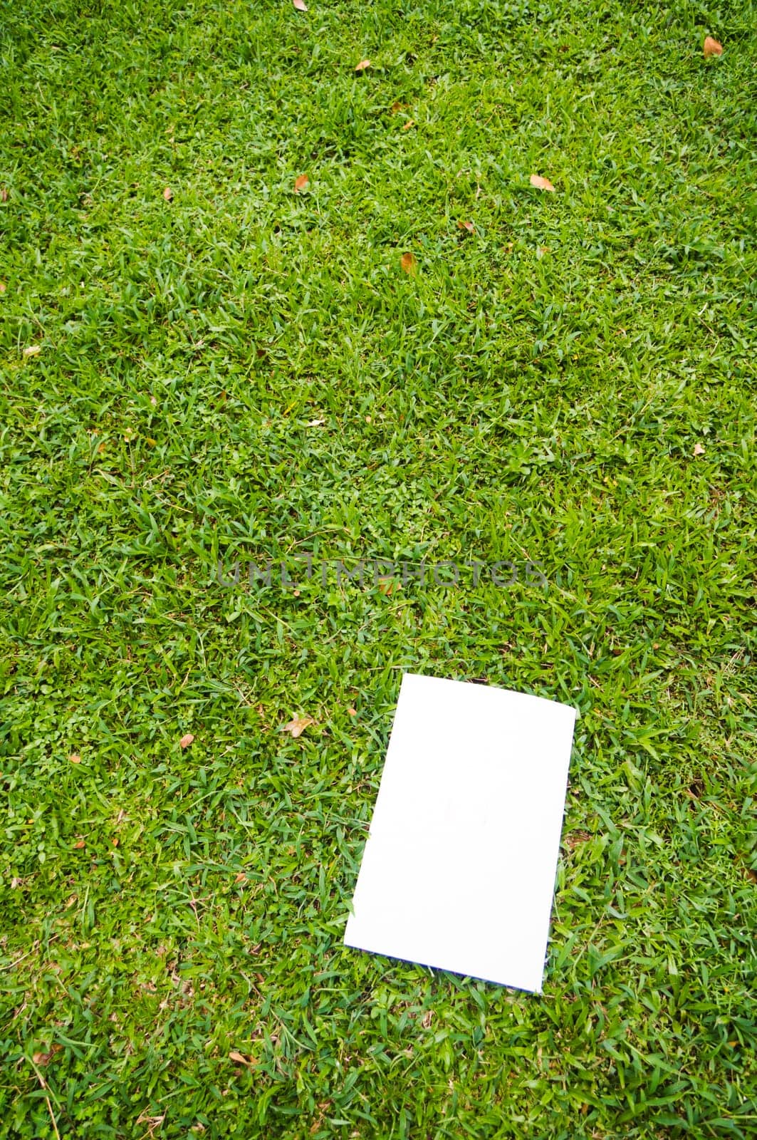 blank white flyer