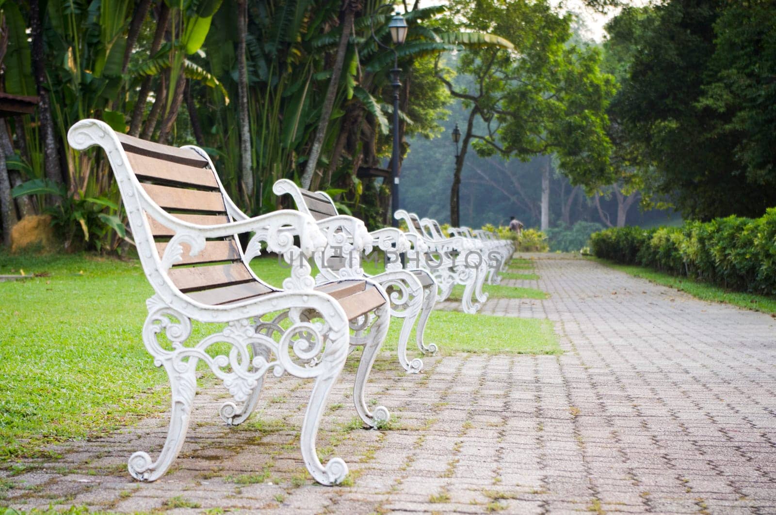 Empty bench in a park, nobody is around as time passing.