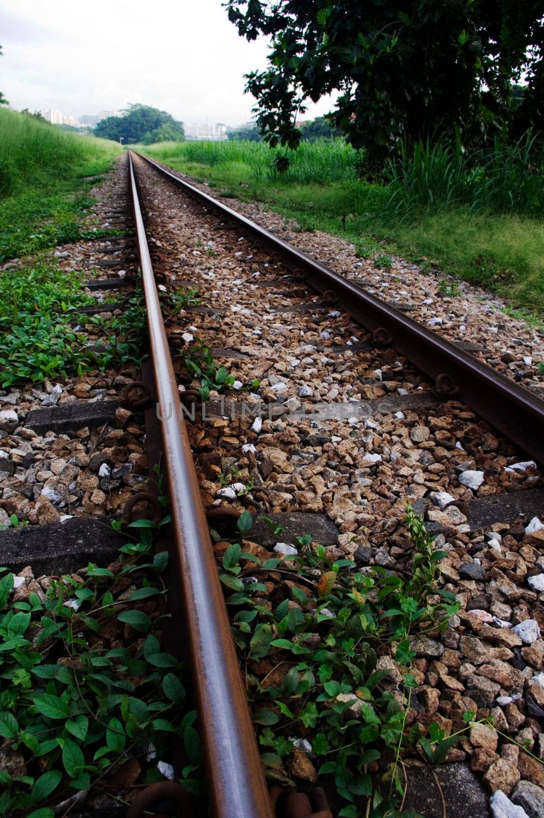 railway track with a vanishing point of view.