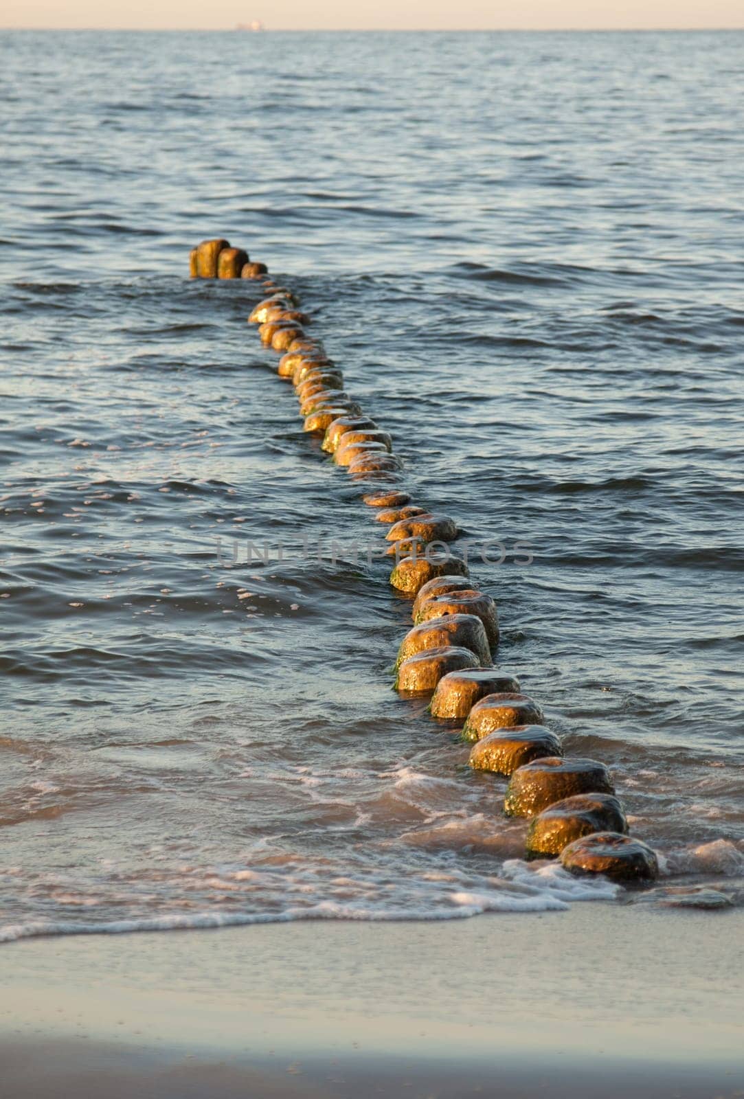 Logs in the water as breakwaters