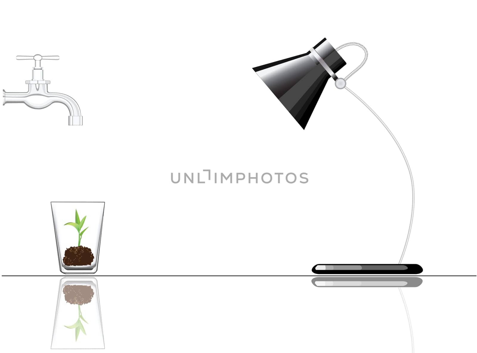 To illustrate a plant that grow under man-made condition.