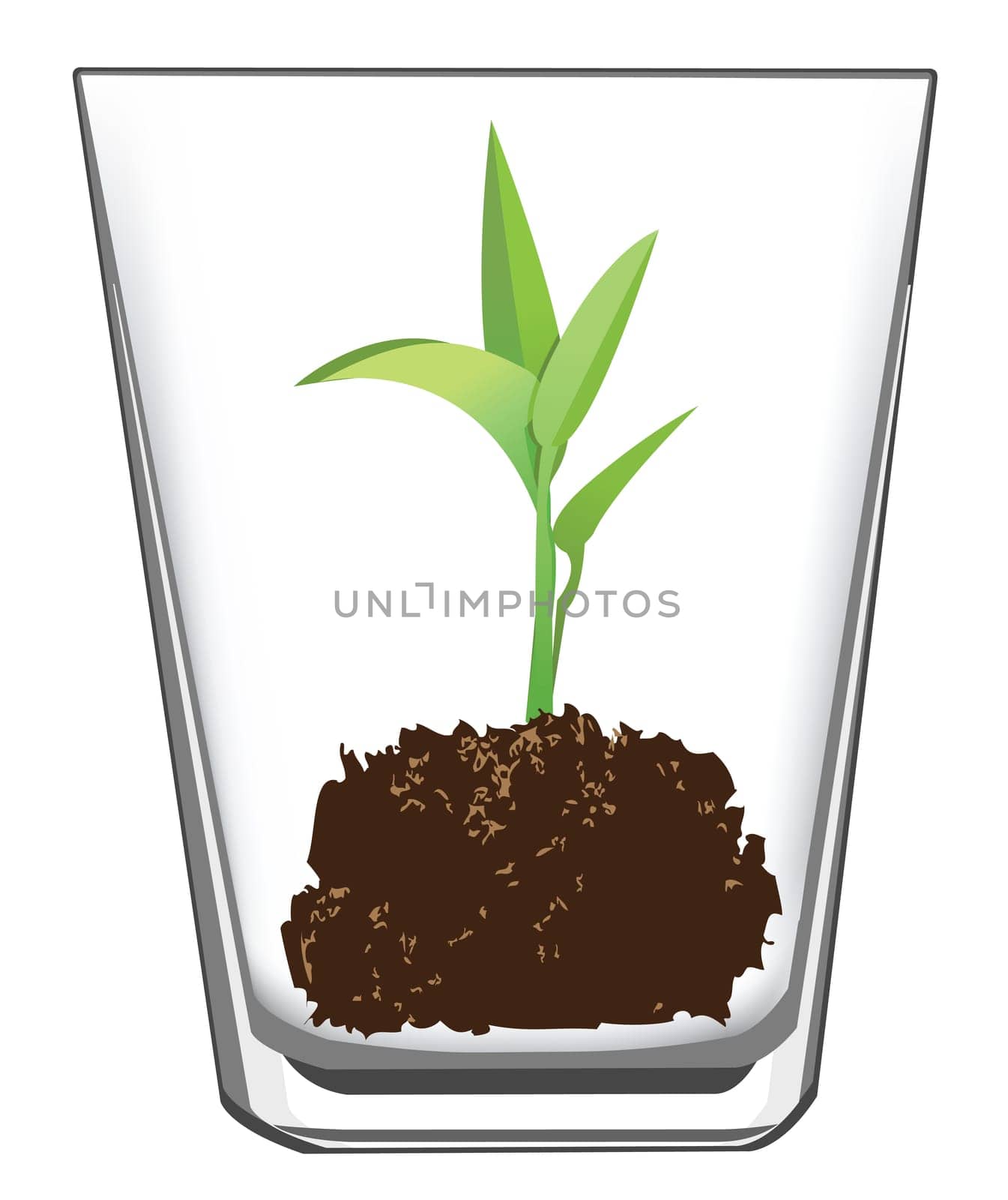 seedling in a glass, vector format is available.