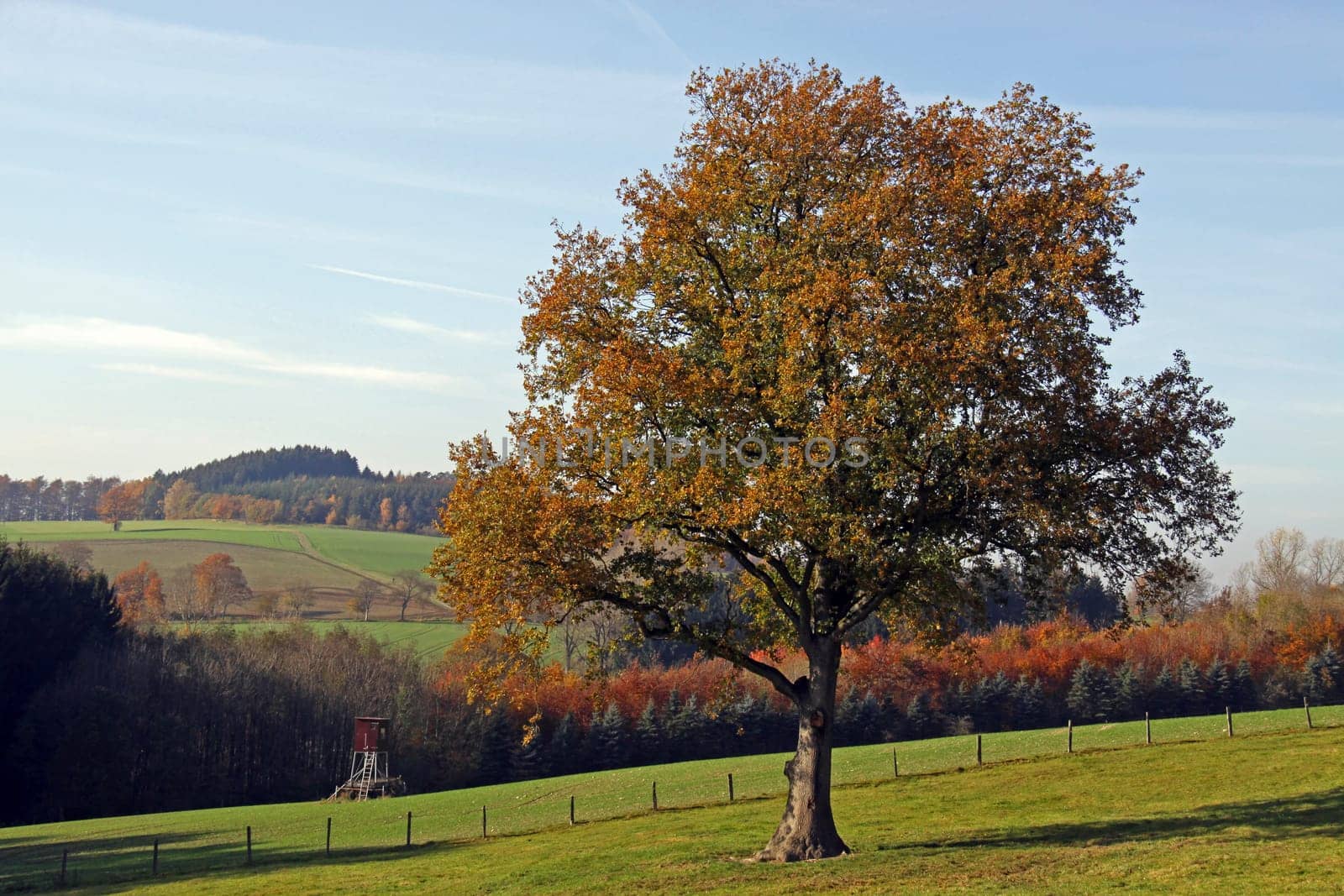 Sauerland near Kallenhardt