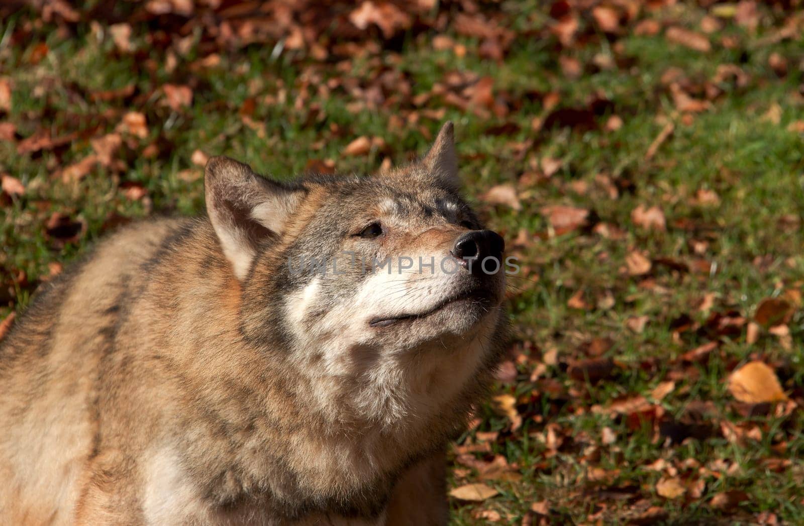 I smell something,don't I?