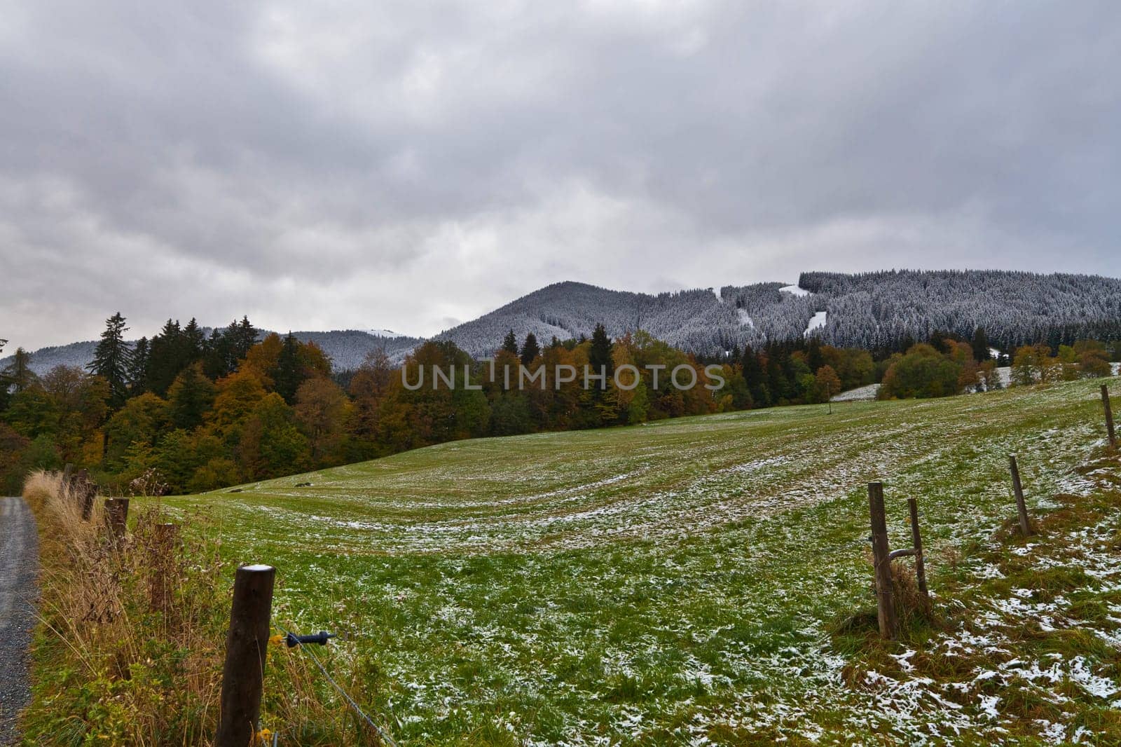 Autumnal mood with snow