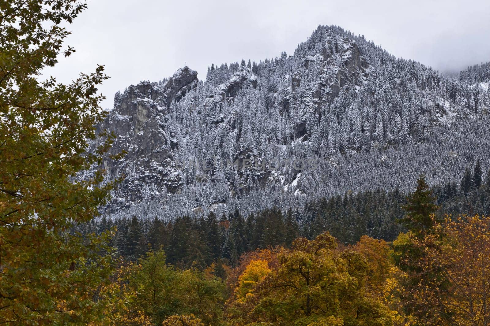 Autumnal mood with snow