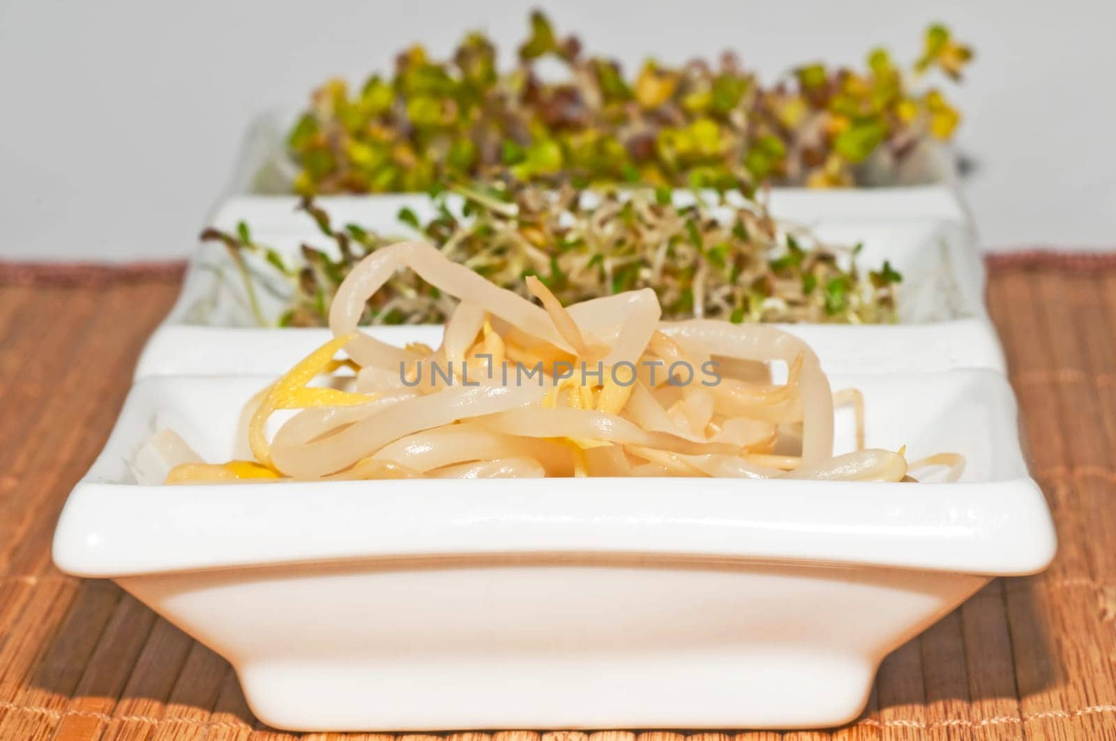Germination