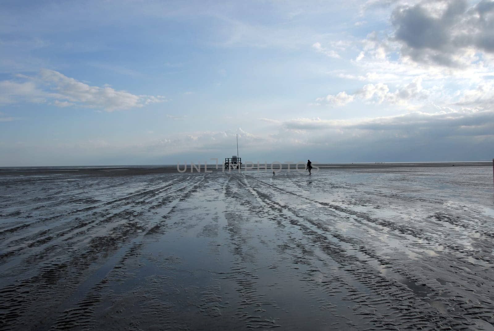 Wadden Sea