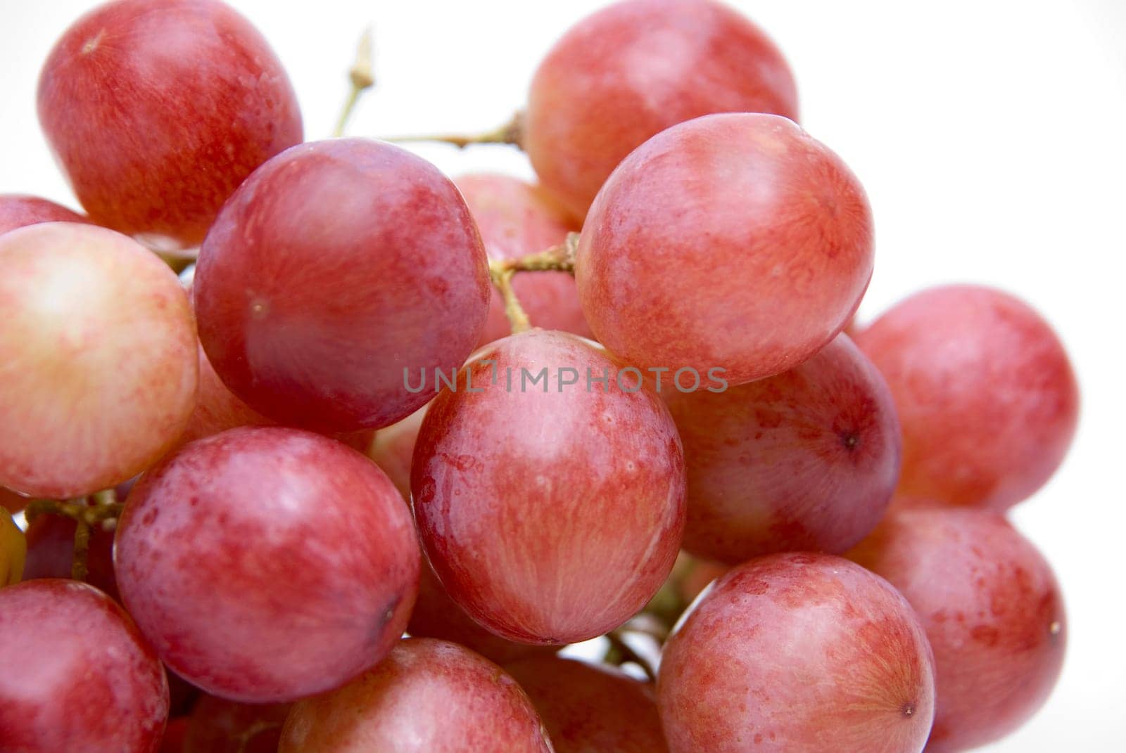 Close-up of Pink grape cluster with isolated on white