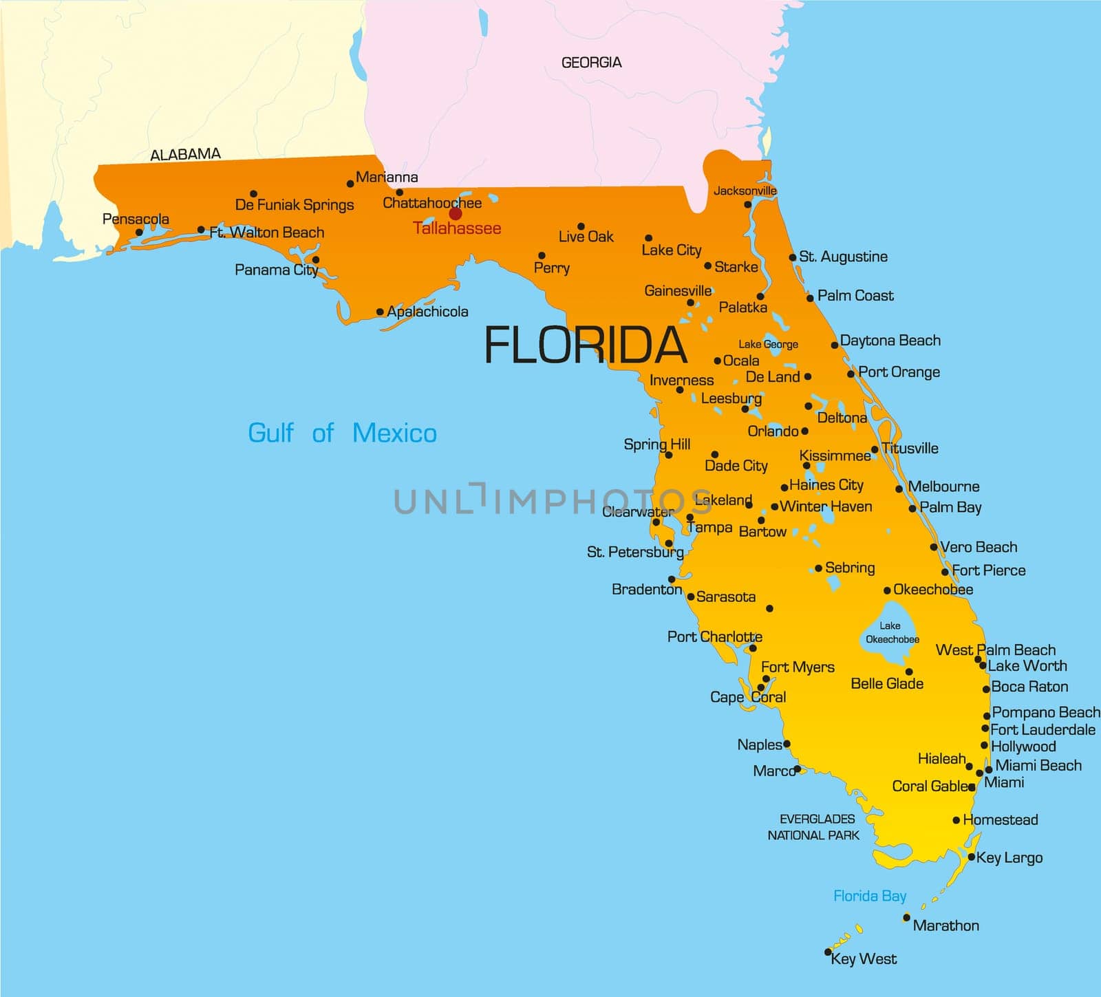 Vector color map of Florida state. Usa