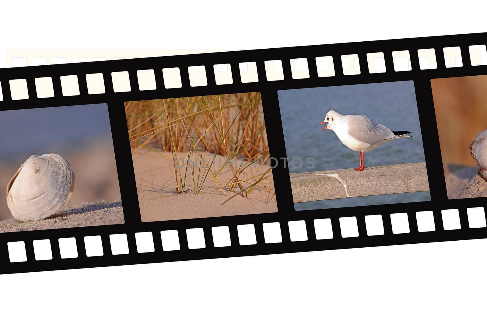 Holiday film