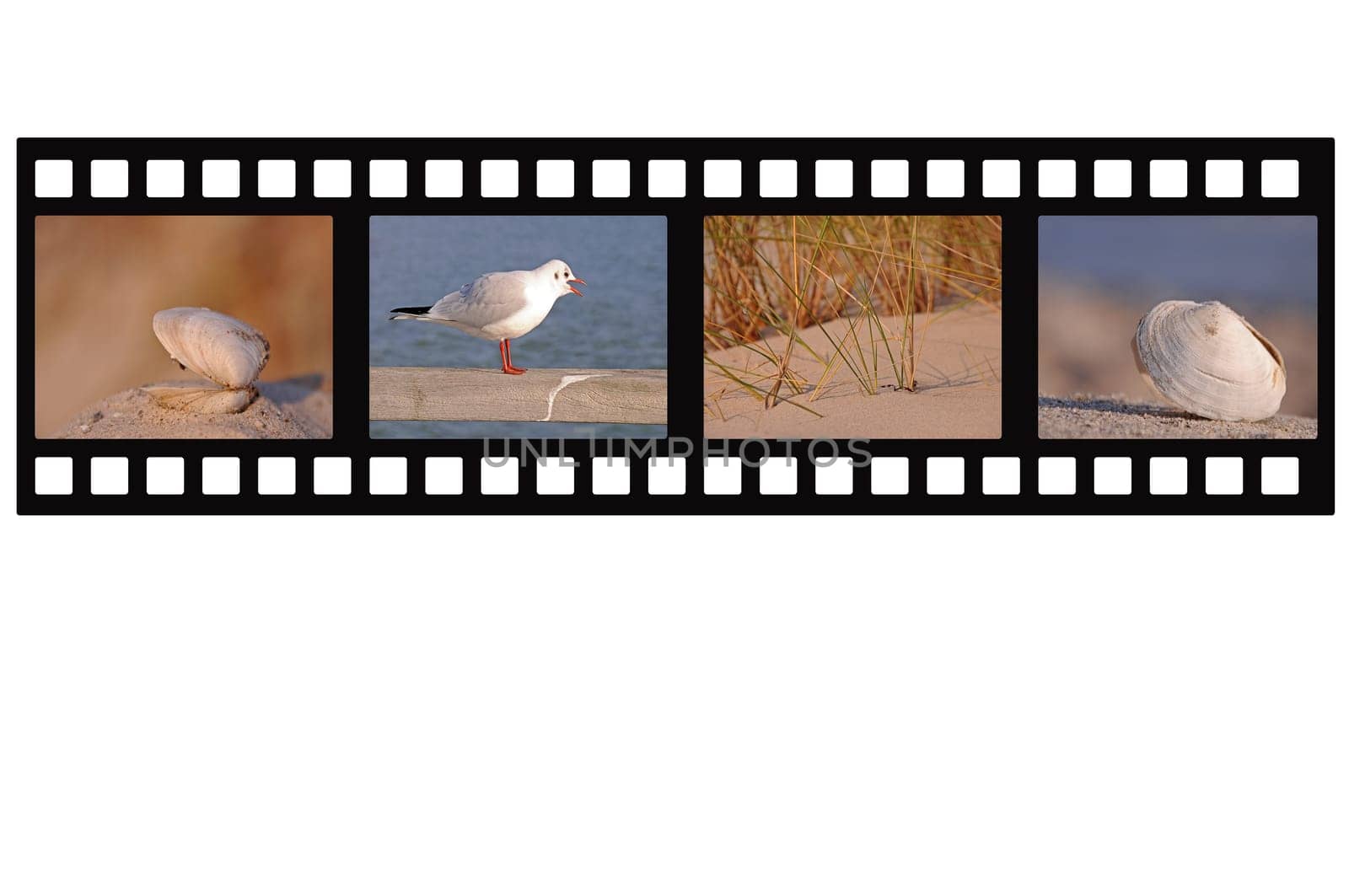 Holiday film