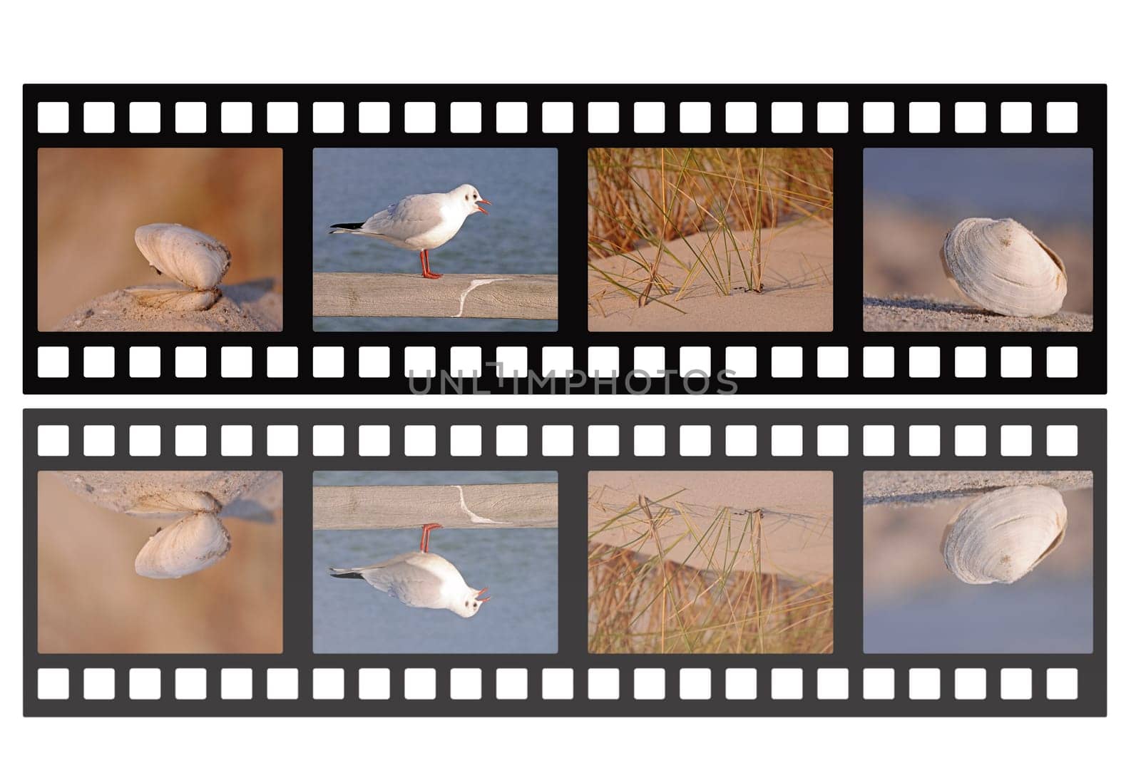 Holiday film