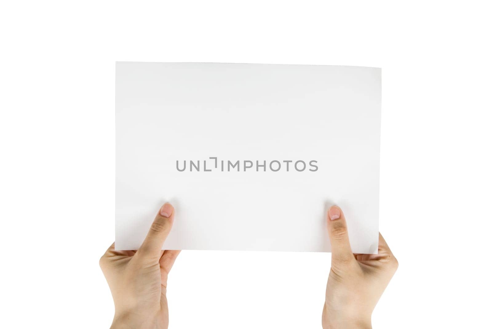 hand holding white paper isolated on white