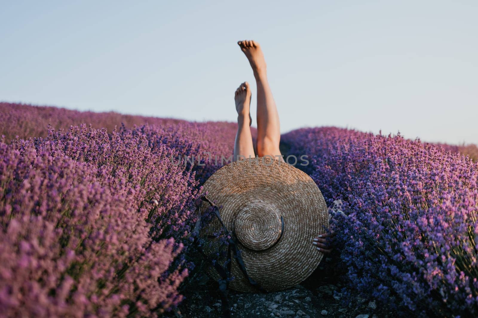 Woman lavender field. Happy carefree Woman legs stick out of the lavender bushes, warm sunset light. Bushes of lavender purple in blossom, aromatic flowers at lavender fields. by panophotograph