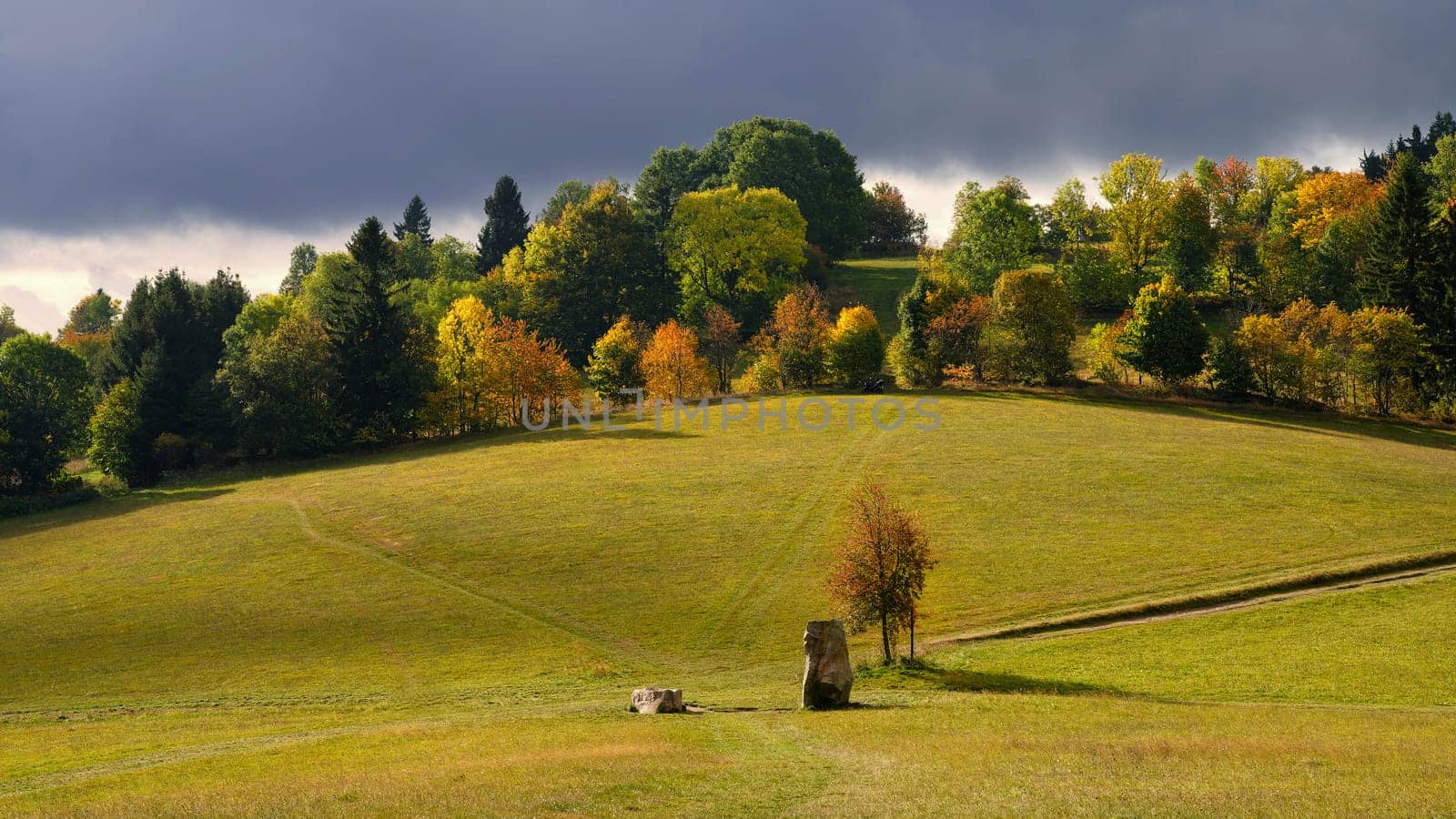 Beautiful autumn landscape. Colourful nature in autumn time. Highlands - Czech Republic. 