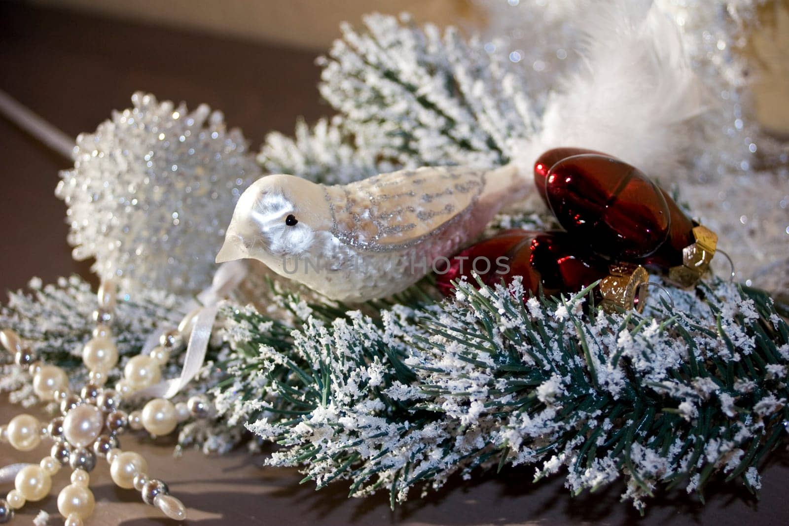 Christmas bird