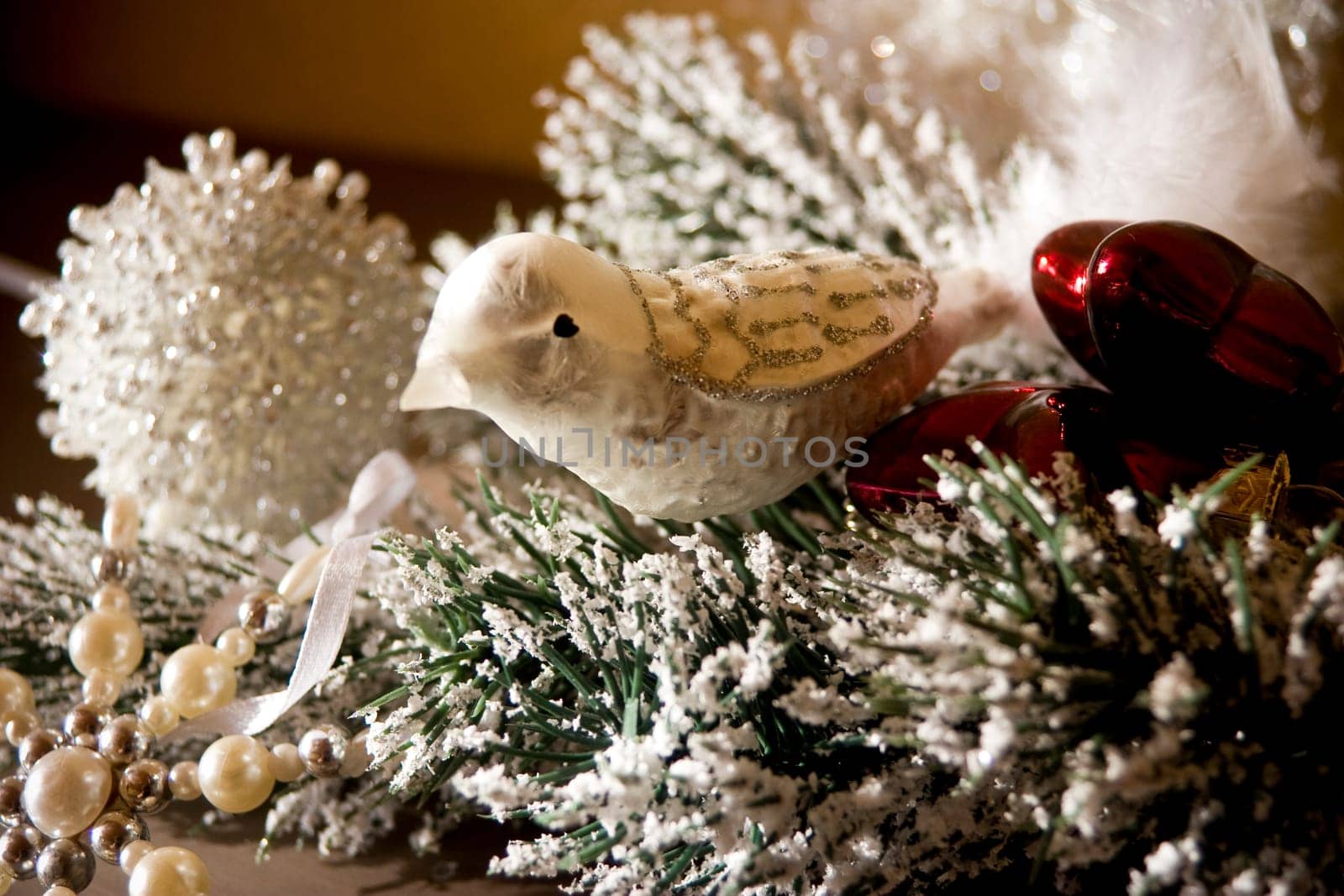 Christmas bird