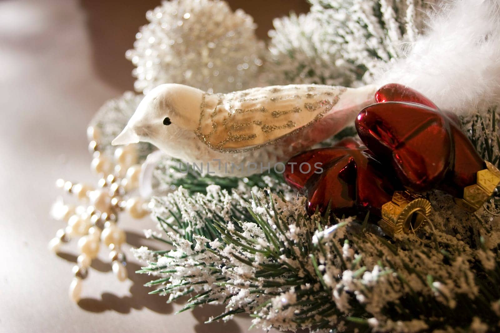Christmas bird