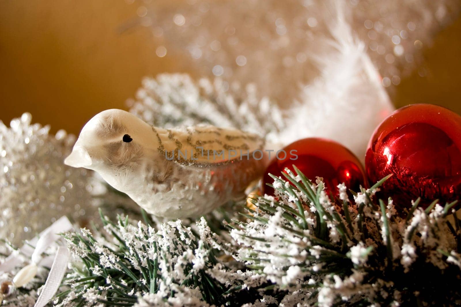 Christmas bird