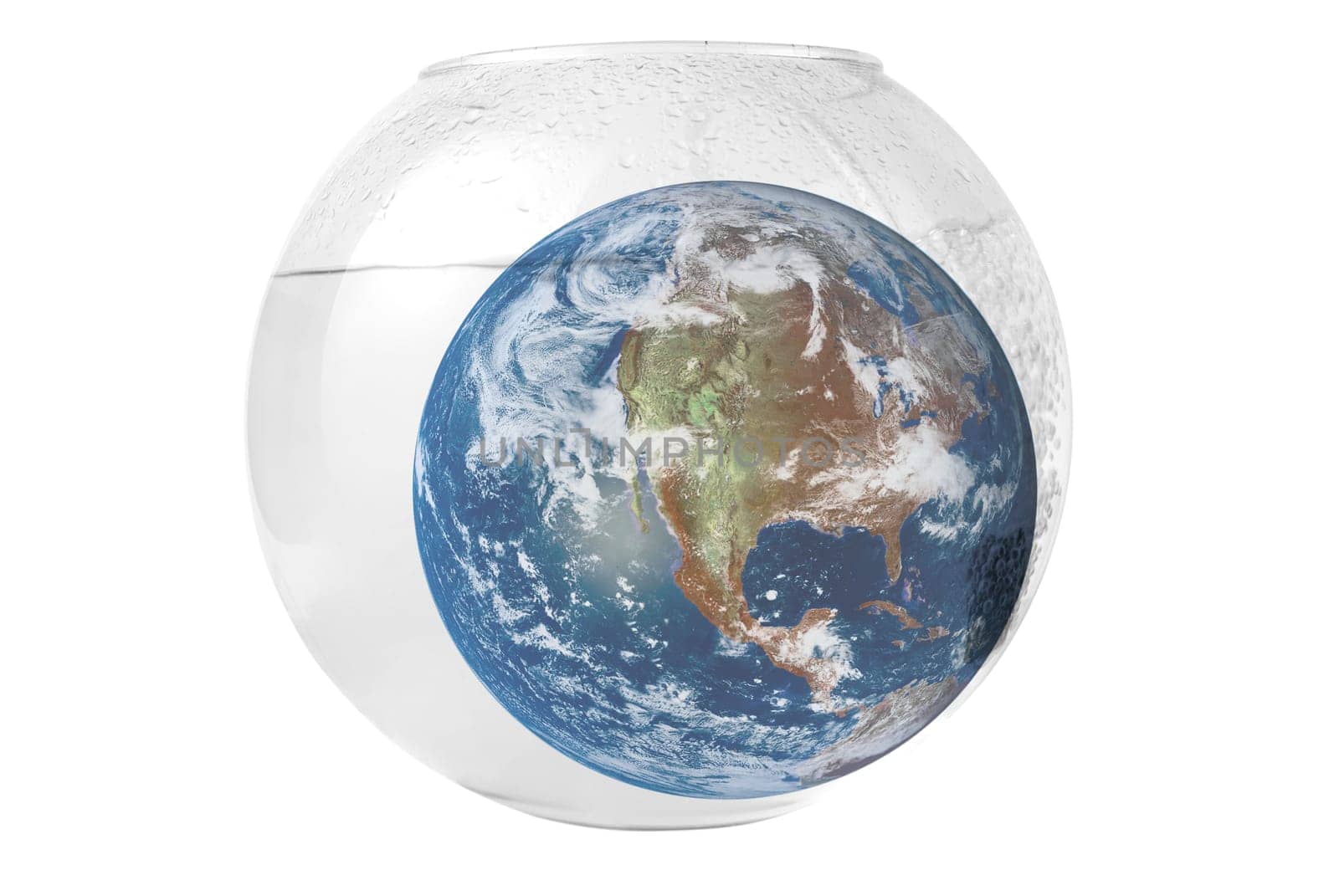earth at aquarium isolated on white background