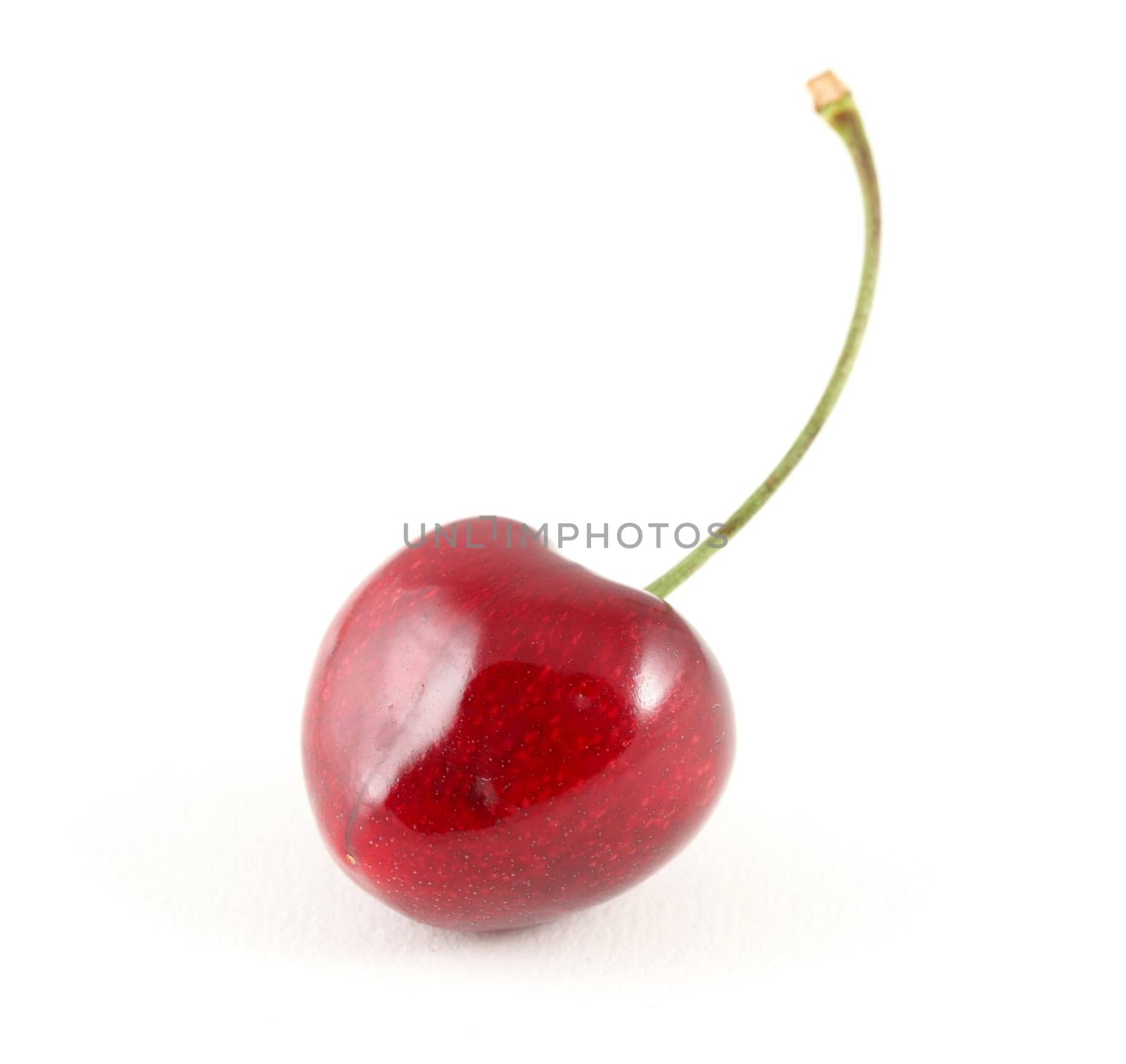 Single cherry against a white background