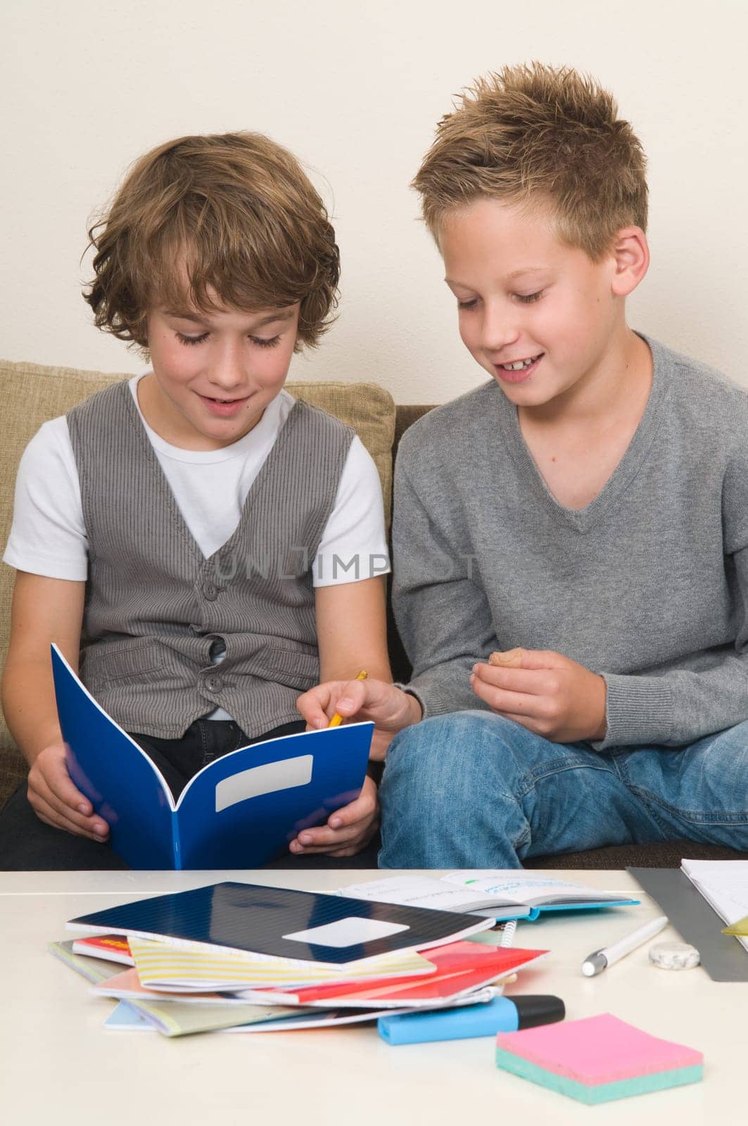 Two friends doing their homework in the livingroom