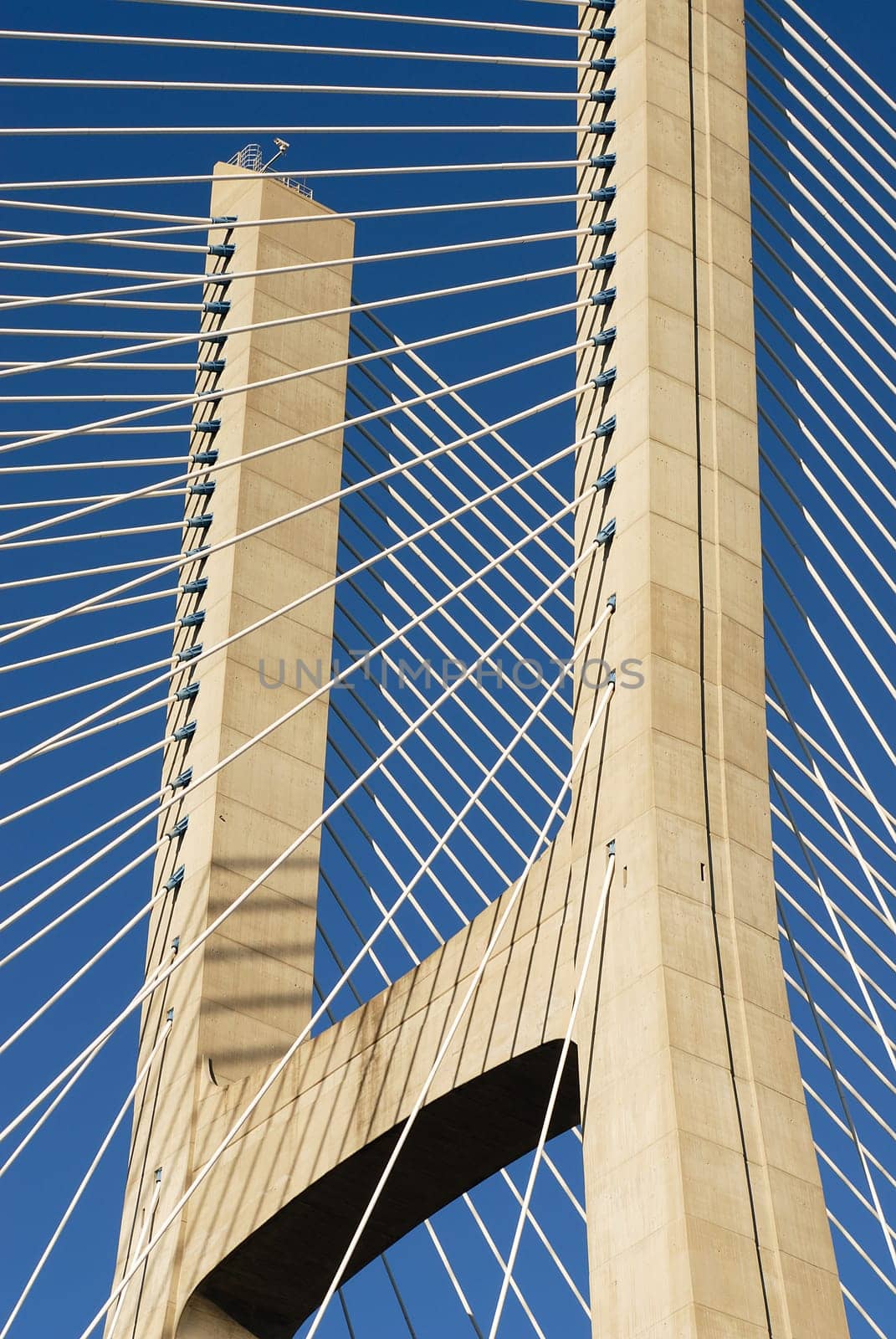 Vasco da Gama bridge is the largest in Europe over the Tagus river