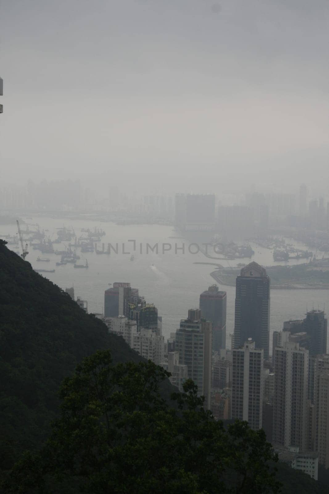 Skyline of Hong Kong seen from the peak over the harbor