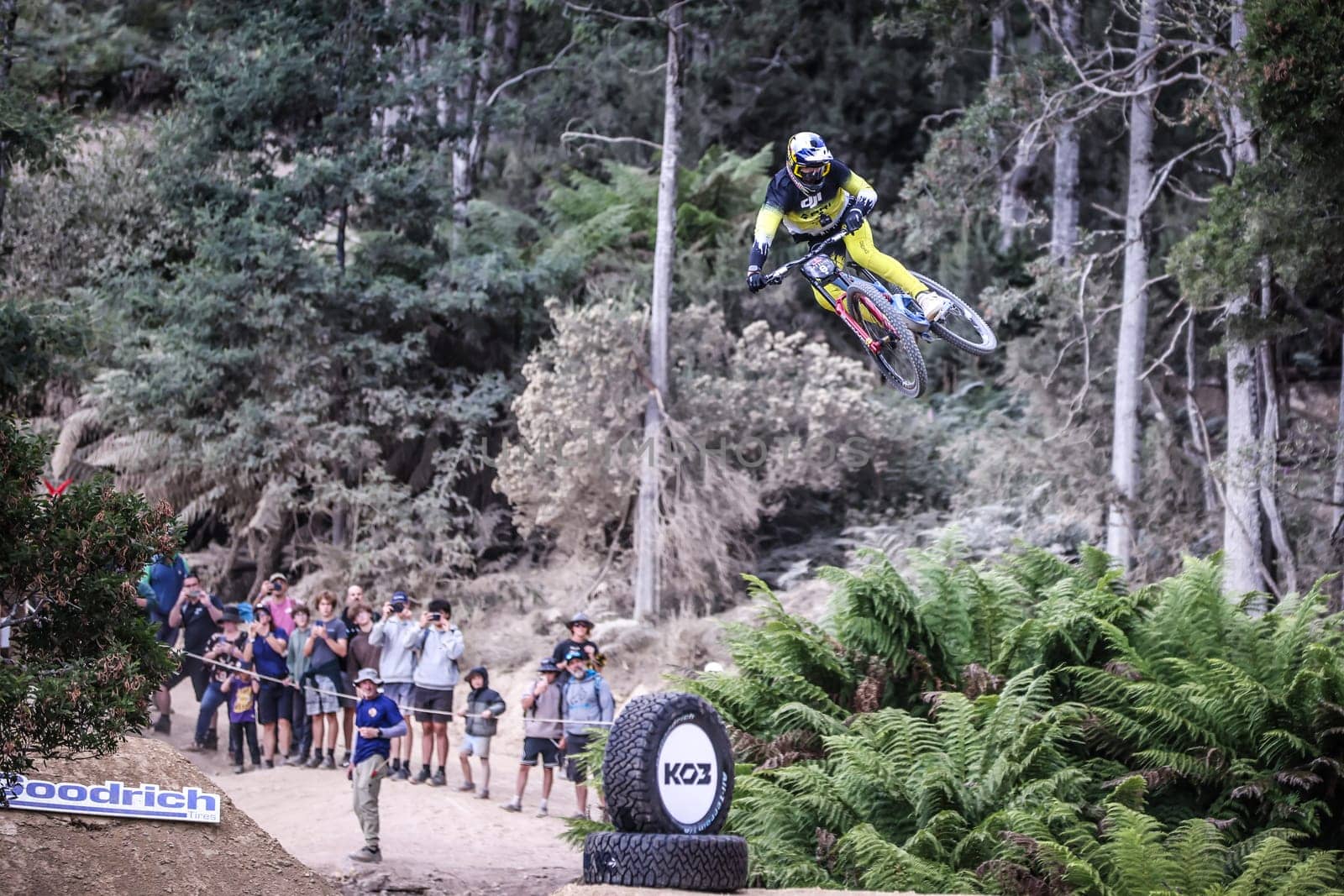 MAYDENA, AUSTRALIA - FEBRUARY 08: Brook MACDONALD of New Zealand competes in the finals of Red Bull Hardline Tasmania on February 8, 2025 in Maydena, Australia.