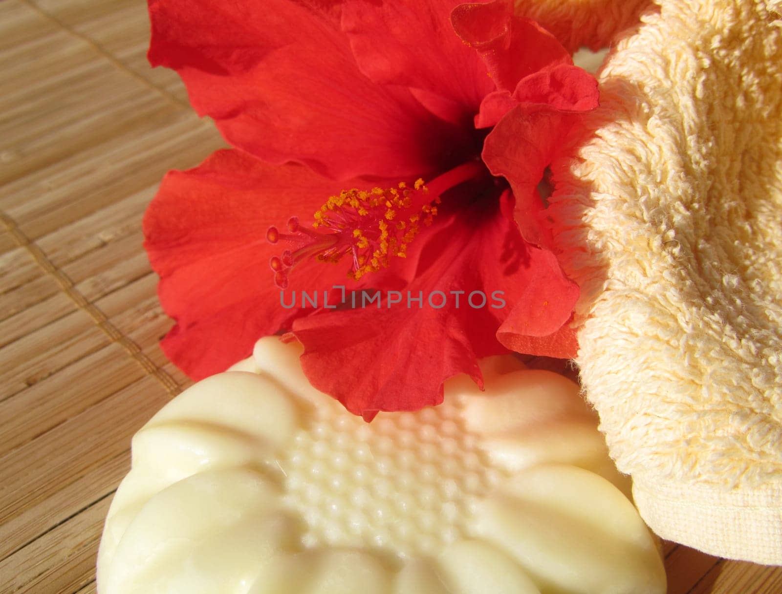 Massage bar with hibiscus