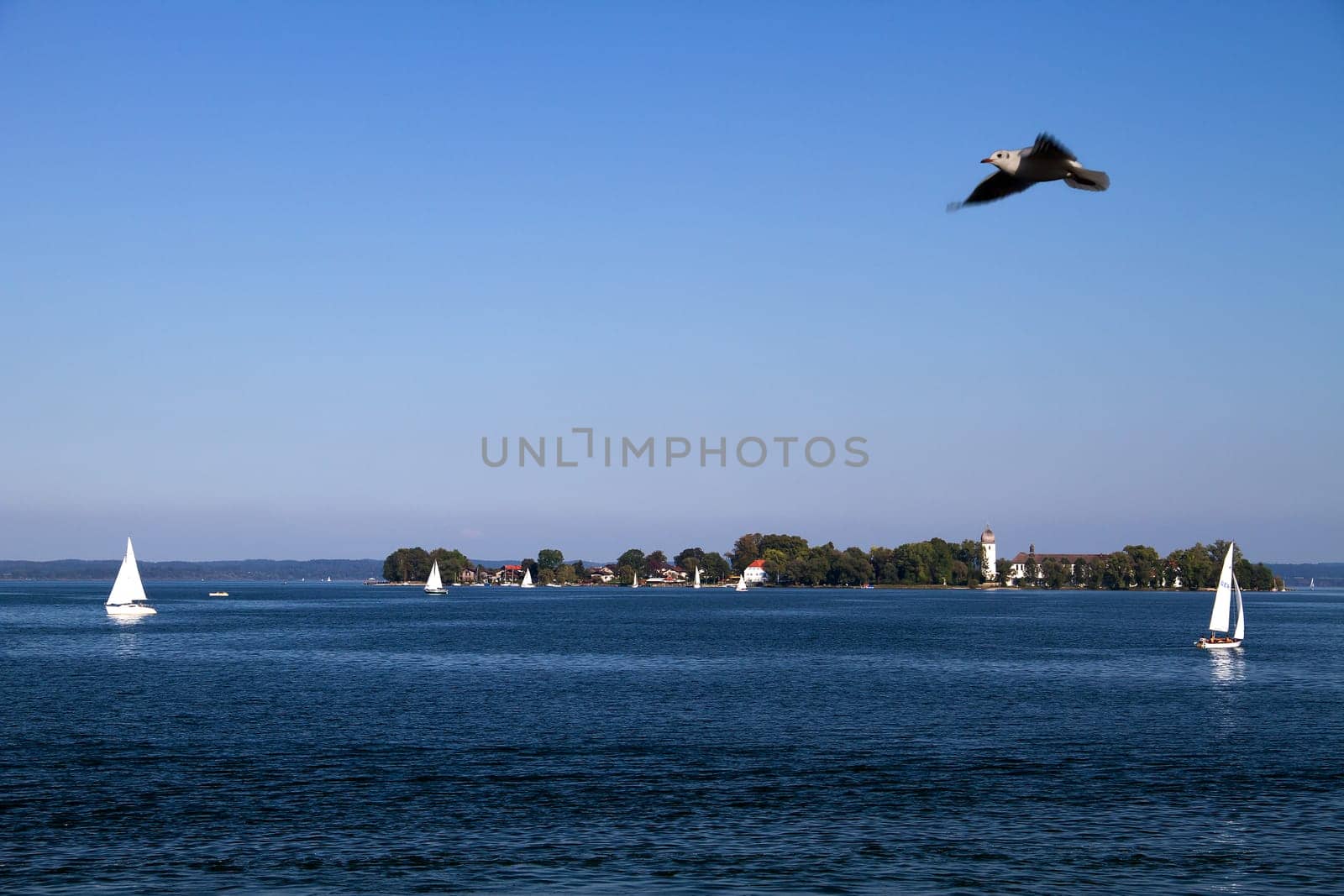 The Scenic Flight of the Seagull