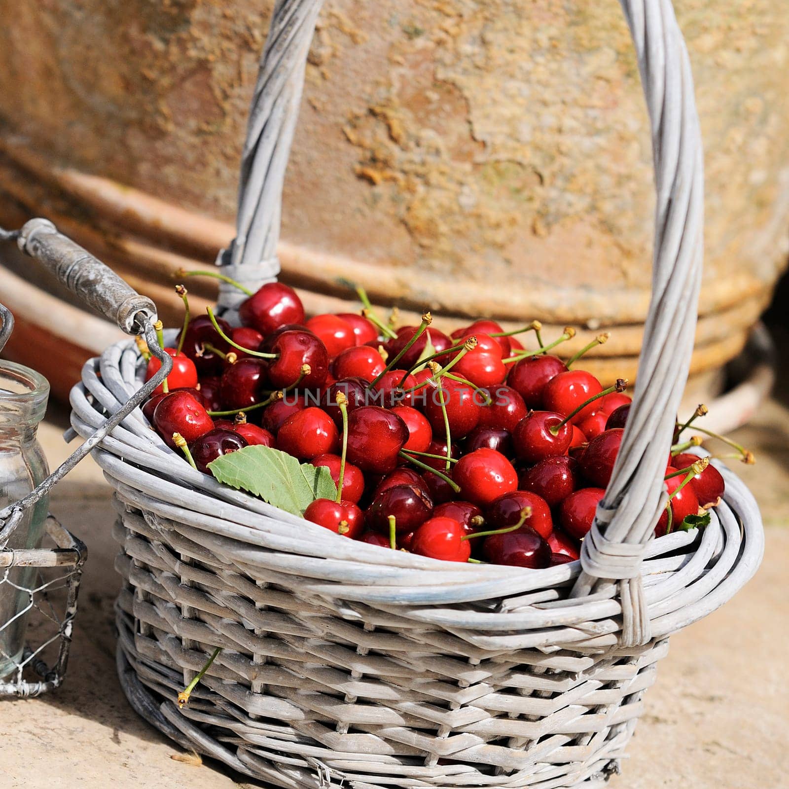 Some beautiful sweet cherry fruit in basket